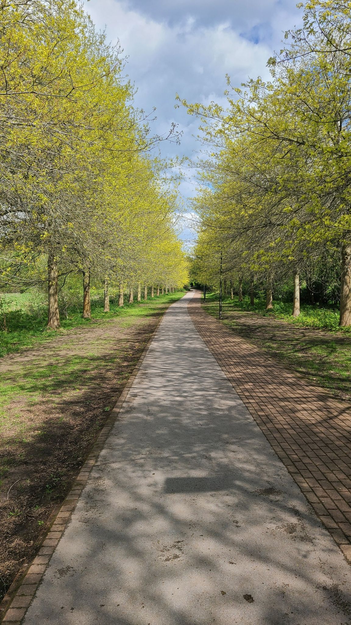 Cycleway
