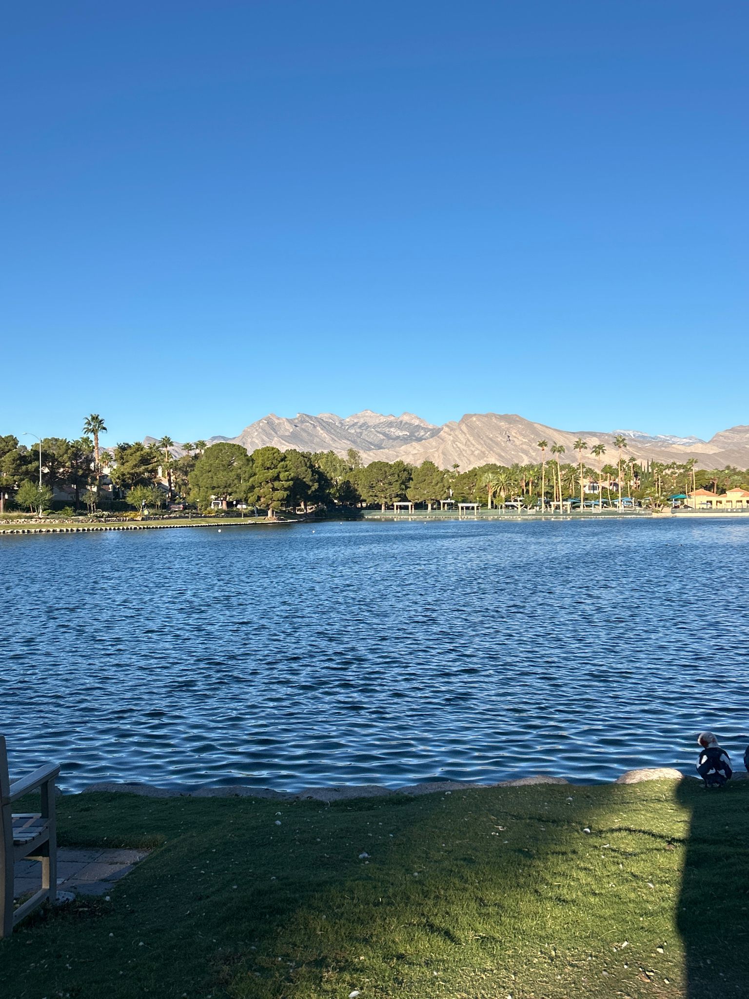 Sunny lake scene with distant mountains, trees, and a person on the grassy bank. - Desert Shores Loop
