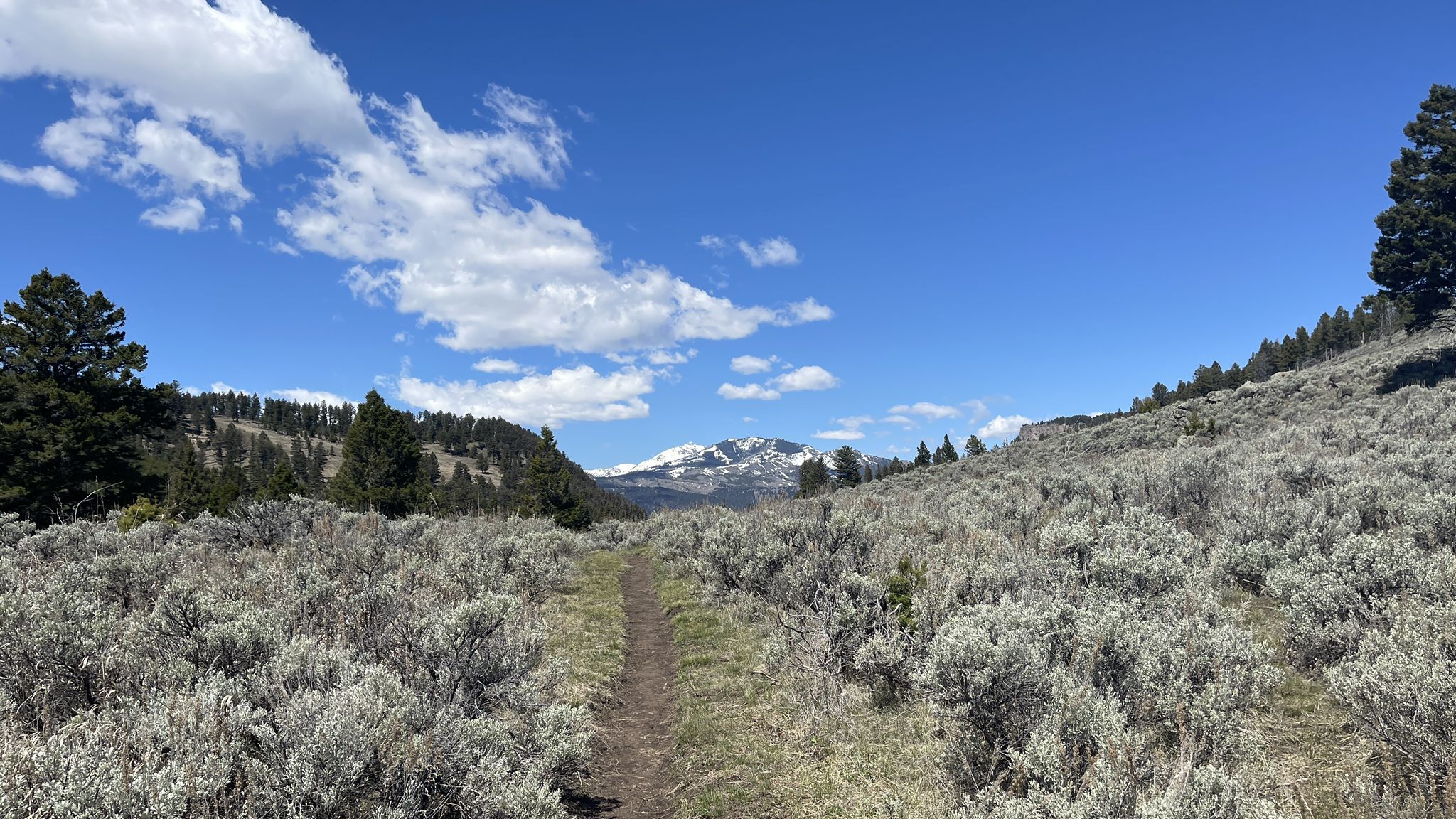 Dirt trail through a wide sagebrush field with distant snow-capped mountains. - Upper and Lower Undine Falls via Lave Creek Trail