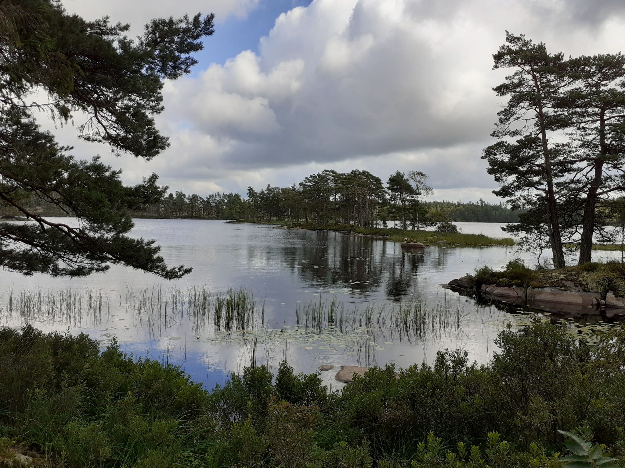 Am See entlang