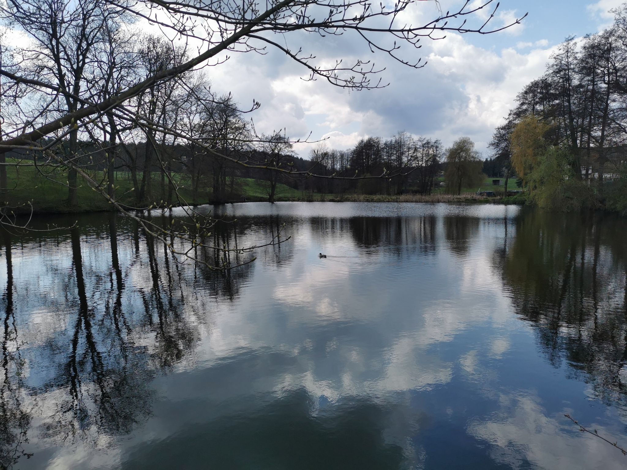 Waidhasen-Teich
