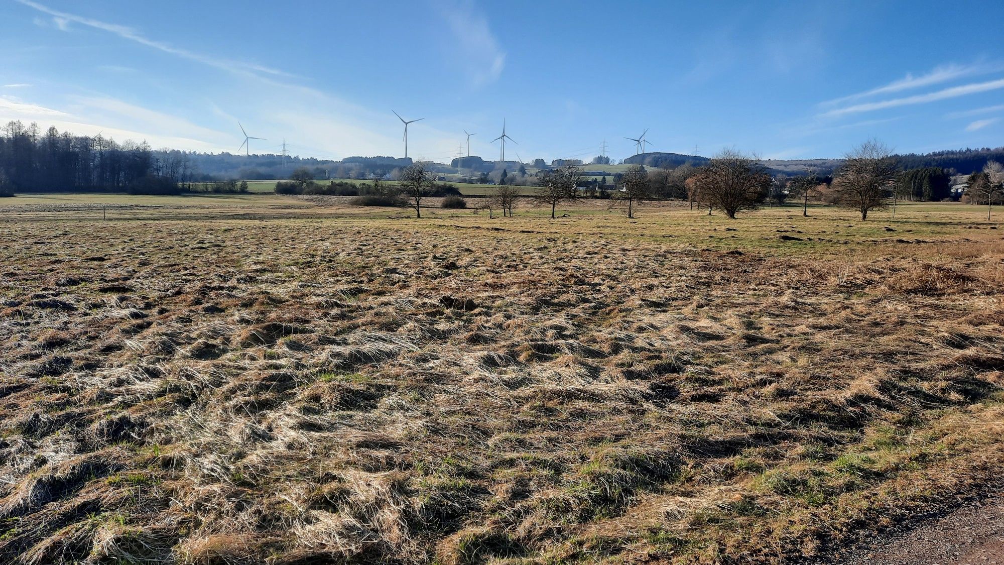 Windräder oberhalb von Sitzerath