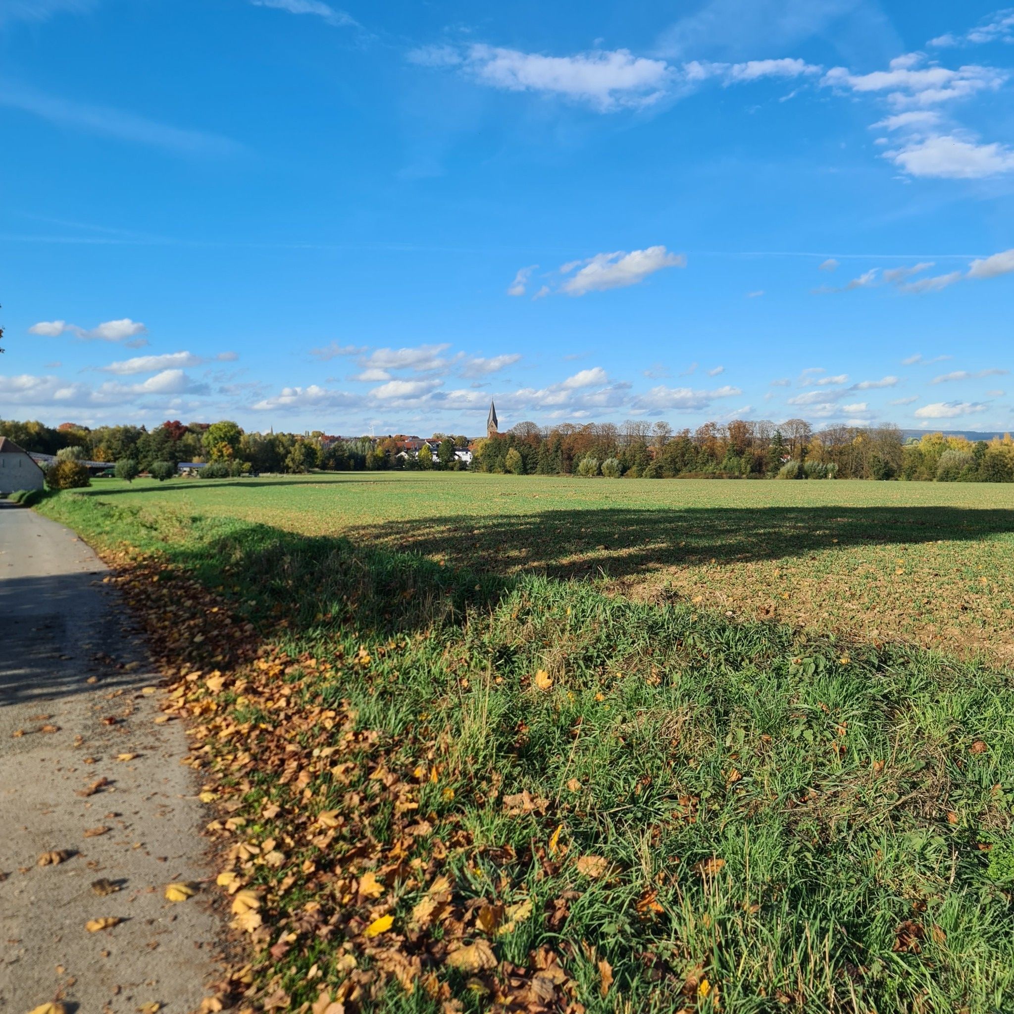 Blick auf Steinheim