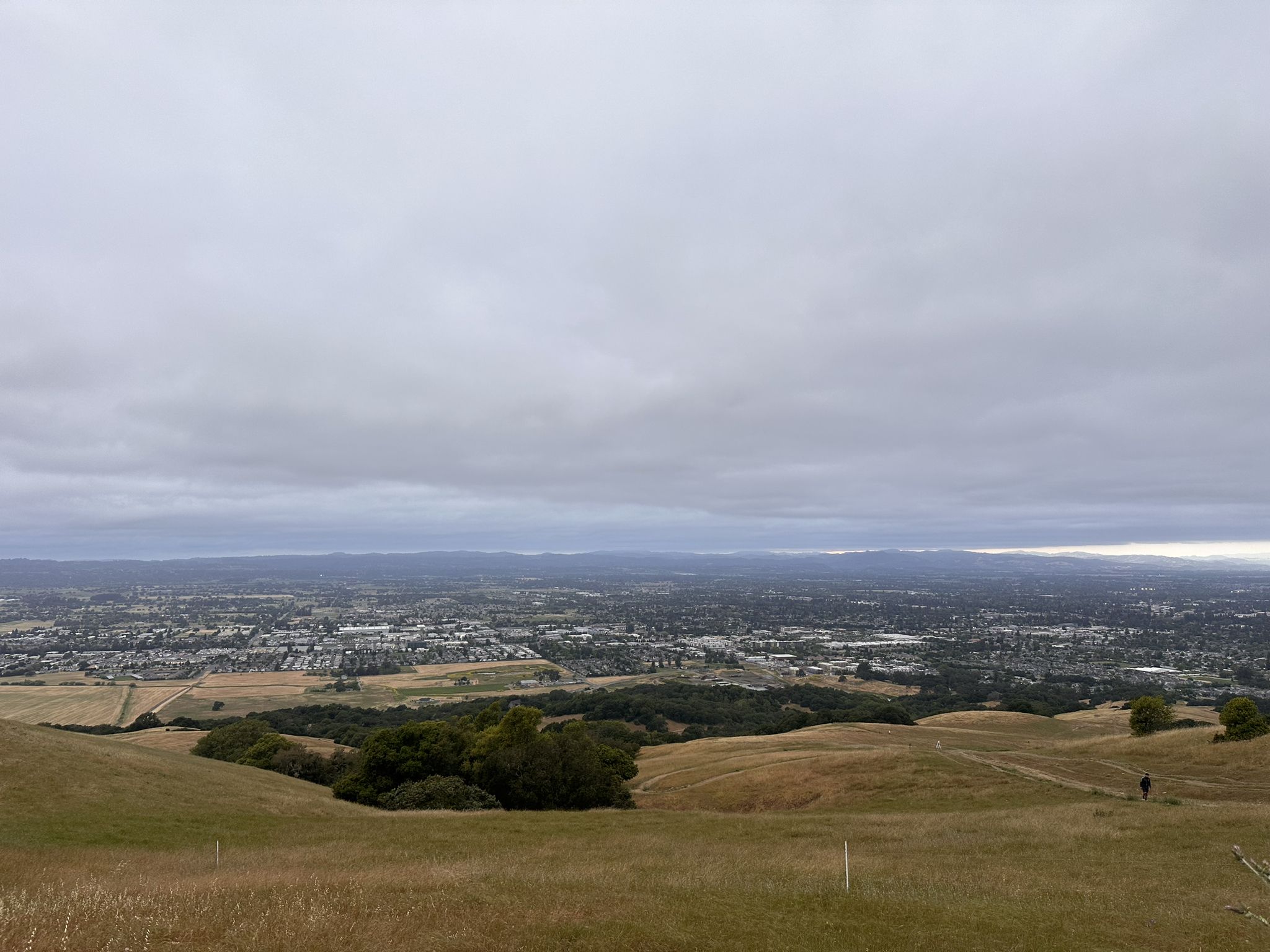 Overcast view of a sprawling city from dry, rolling hills, person walking. - Taylor Mountain via Western and Eastern Route