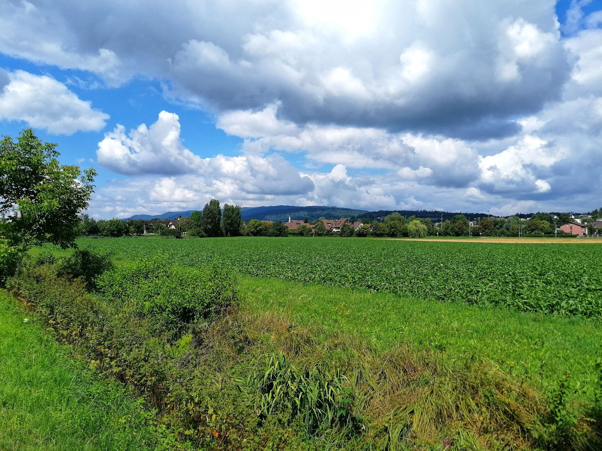 Adlikon und Lägern