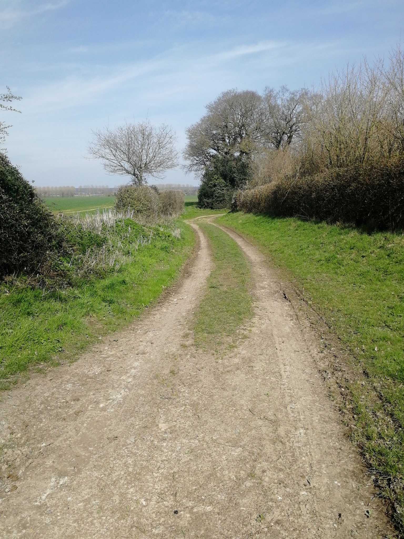 Hall Lane