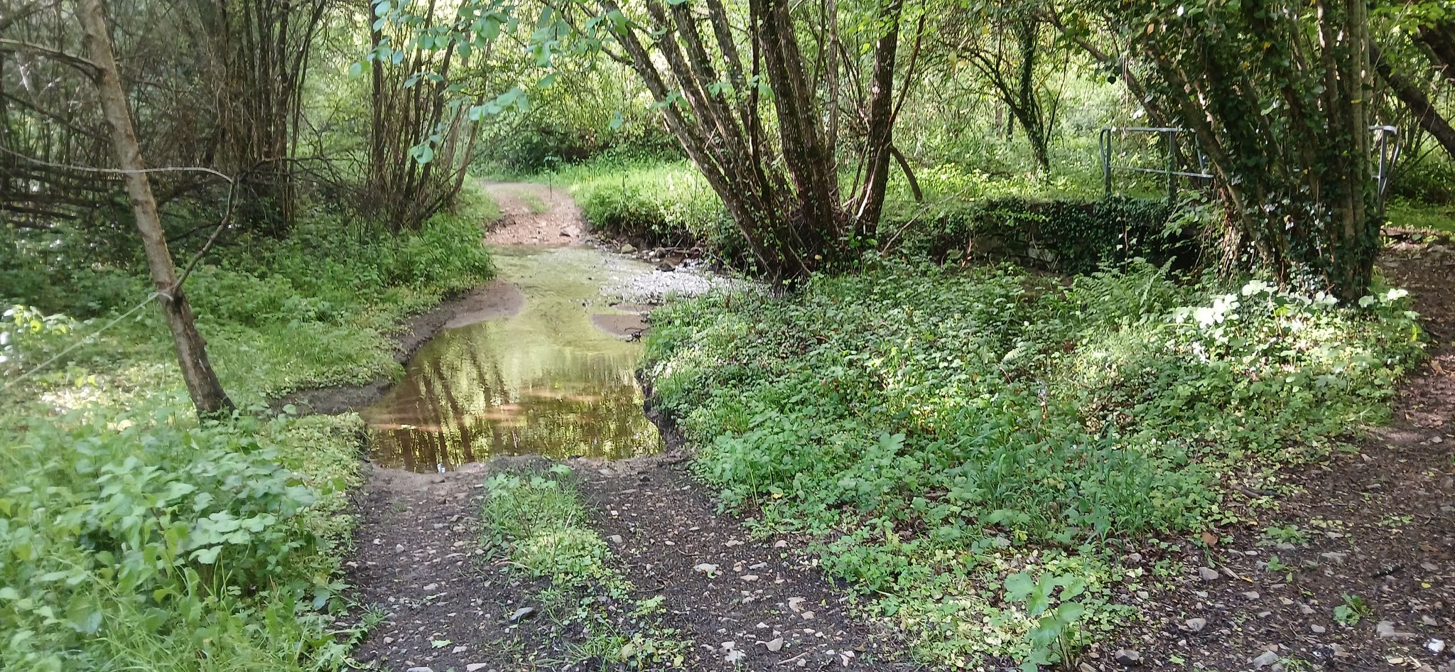 Jolie gué sur la Tartasse entre Ronnet et Cherbeix, un chemin super sympa.