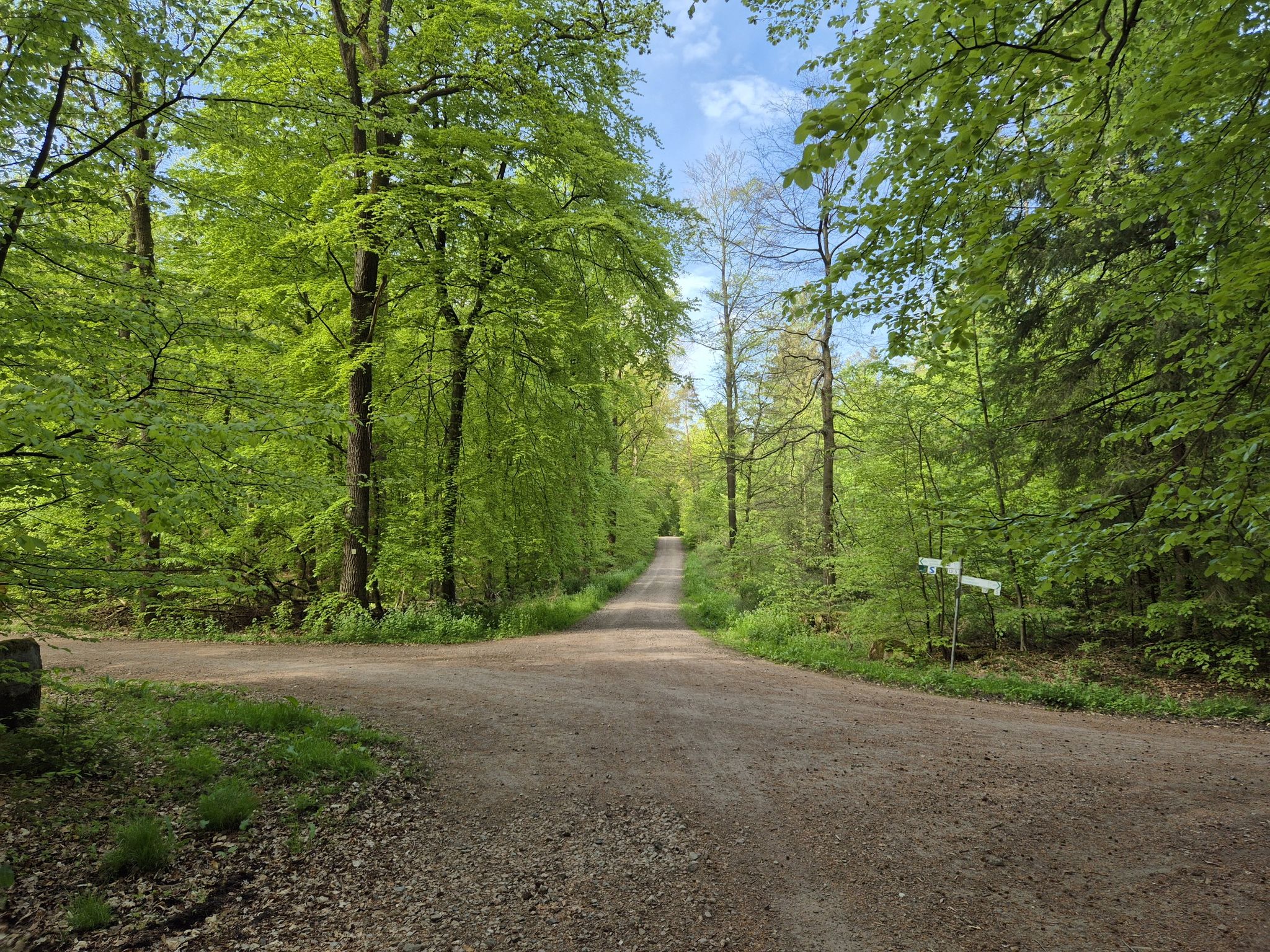 Irgendwo im Kleckerwald!