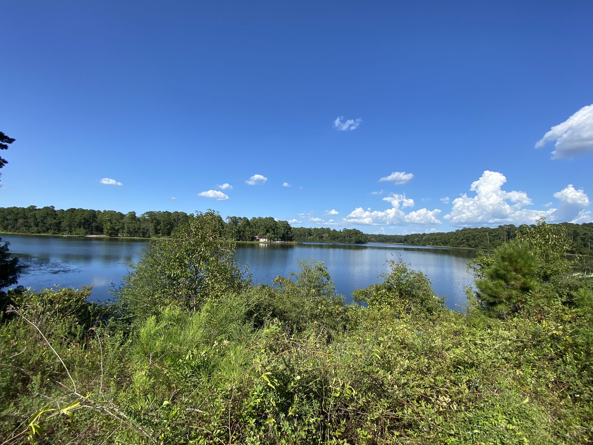 A wide lake surrounded by lush green trees under a bright blue sky. - Huntsville State Park MTB Trails