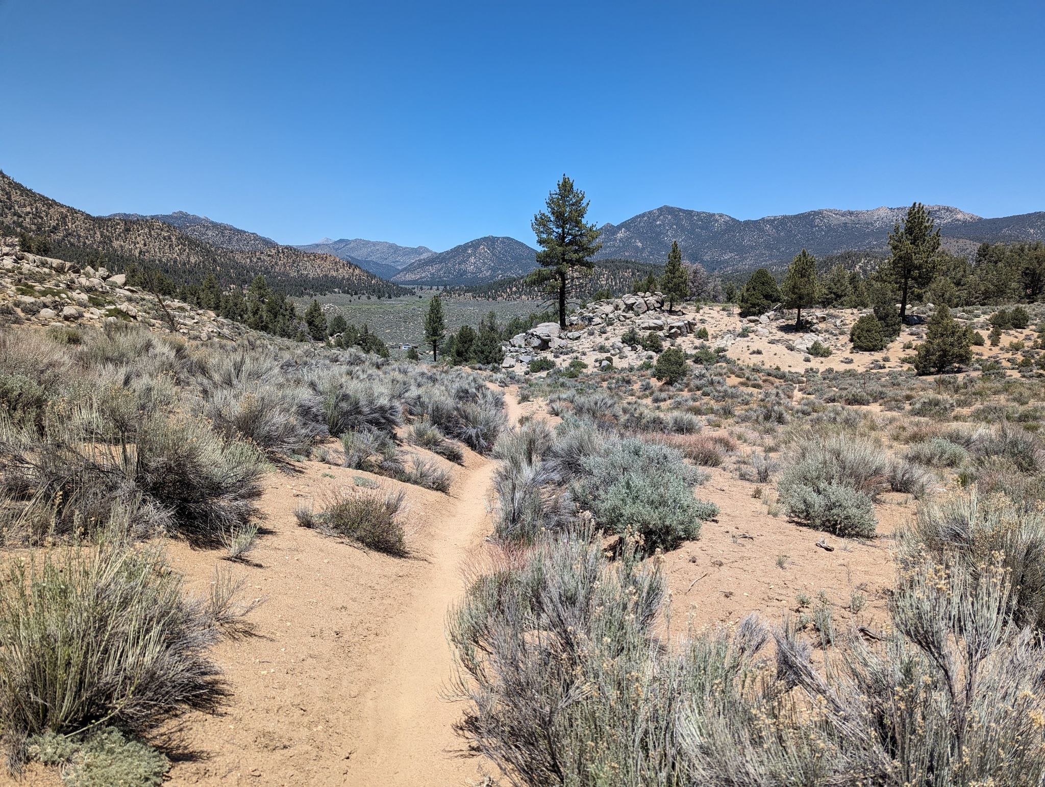 Sandy trail through arid scrubland with distant mountains under a clear blue sky. - Pacific Crest Trail: California Section G