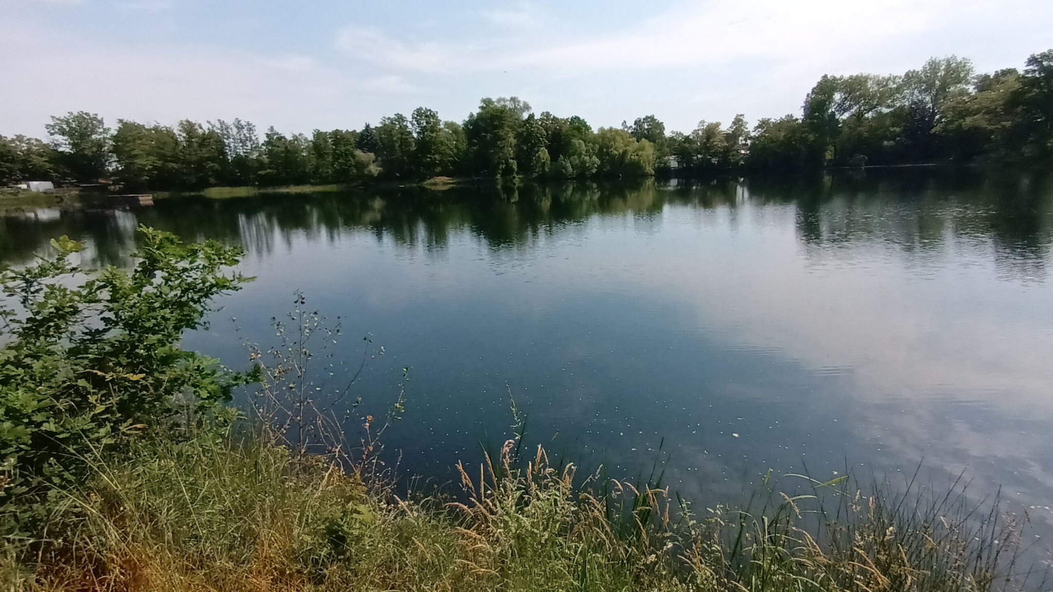 Alter Falkenberger Badeteich