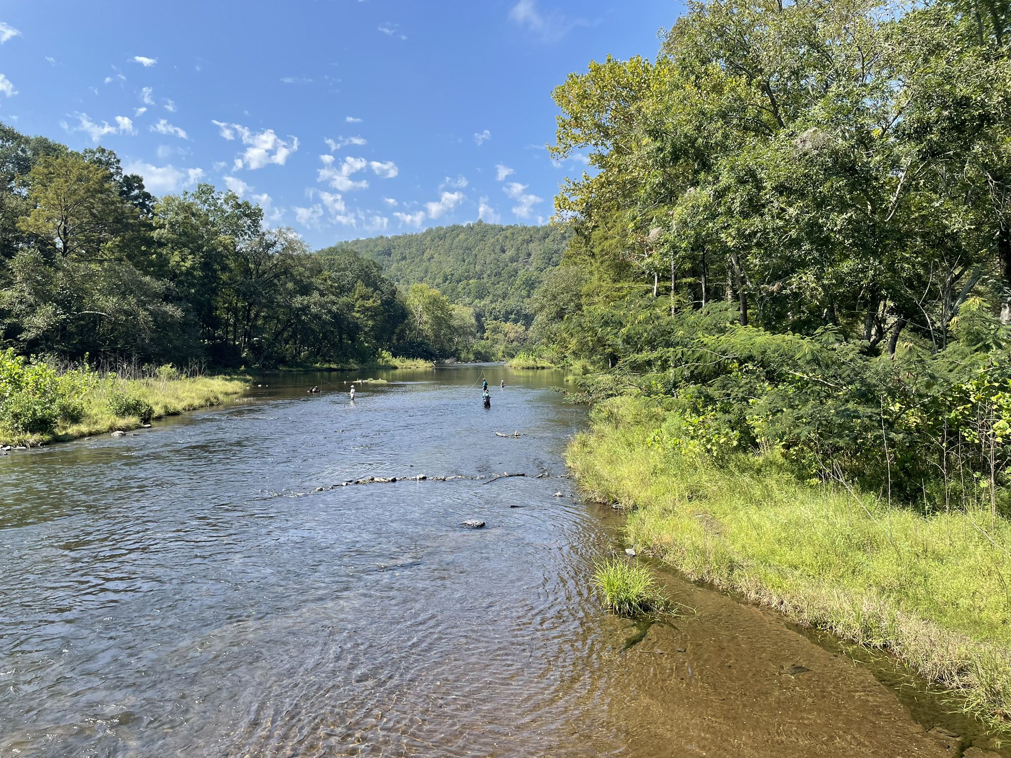 A person fishes in a wide river surrounded by green forests under a bright sky. - Skyline Trail