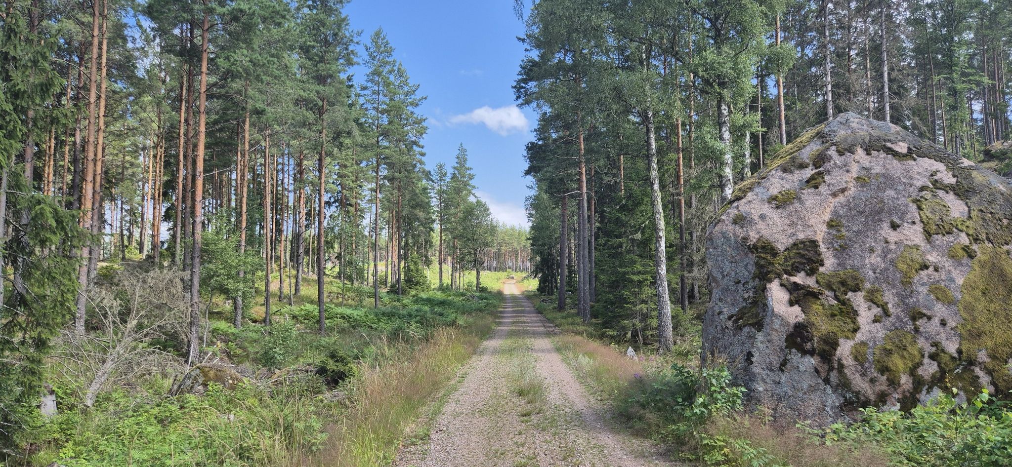 Unterwegs  - im Norra Kvills Nationalpark in Smaland.