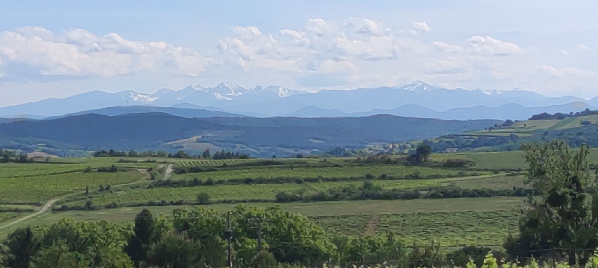 Pyréneen im Hintergrund