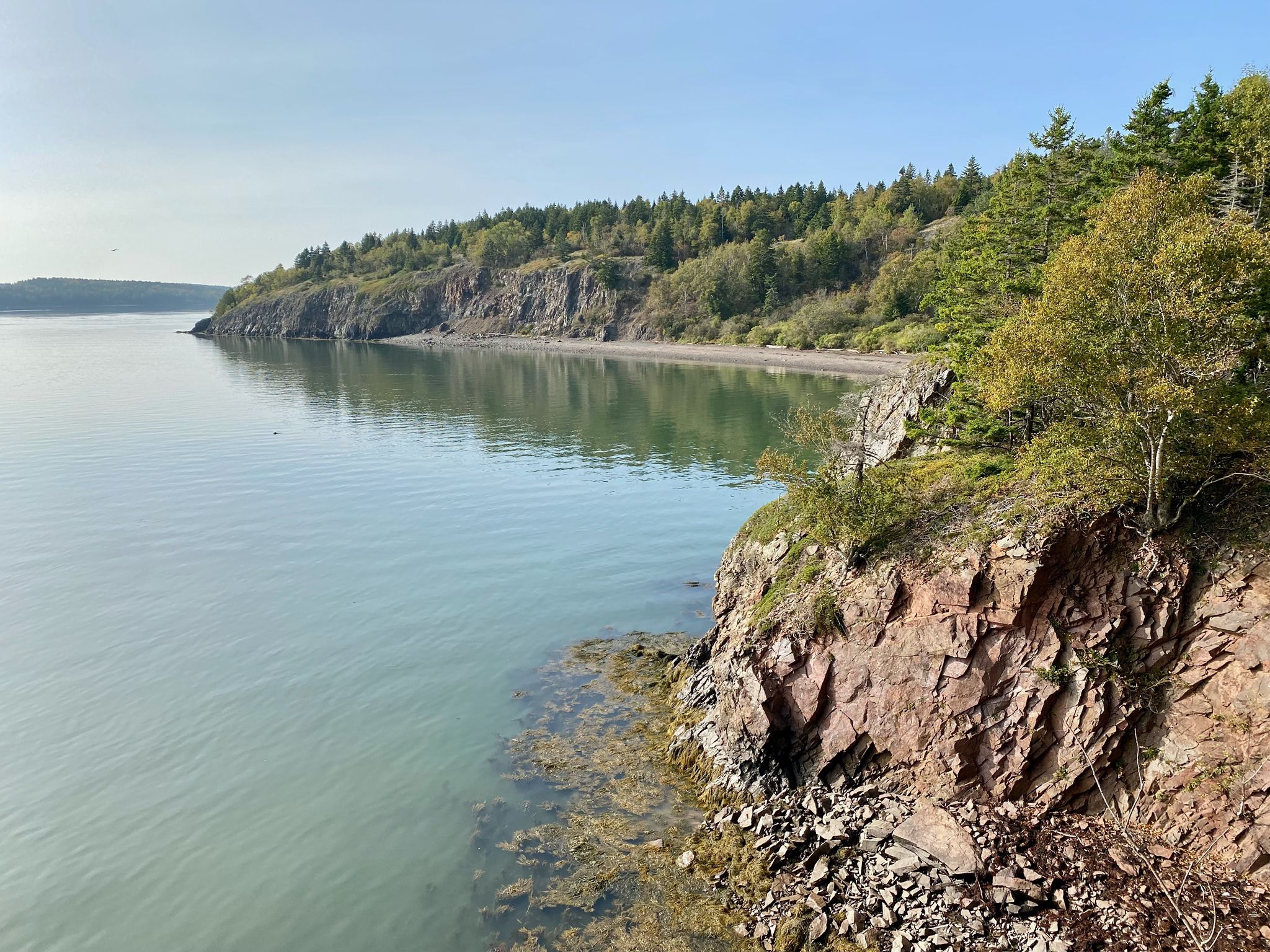 Calm coastal inlet with rocky cliffs and green trees under a bright sky. - Schooner Head, Ship Point, and Shackford Head Trail Loop