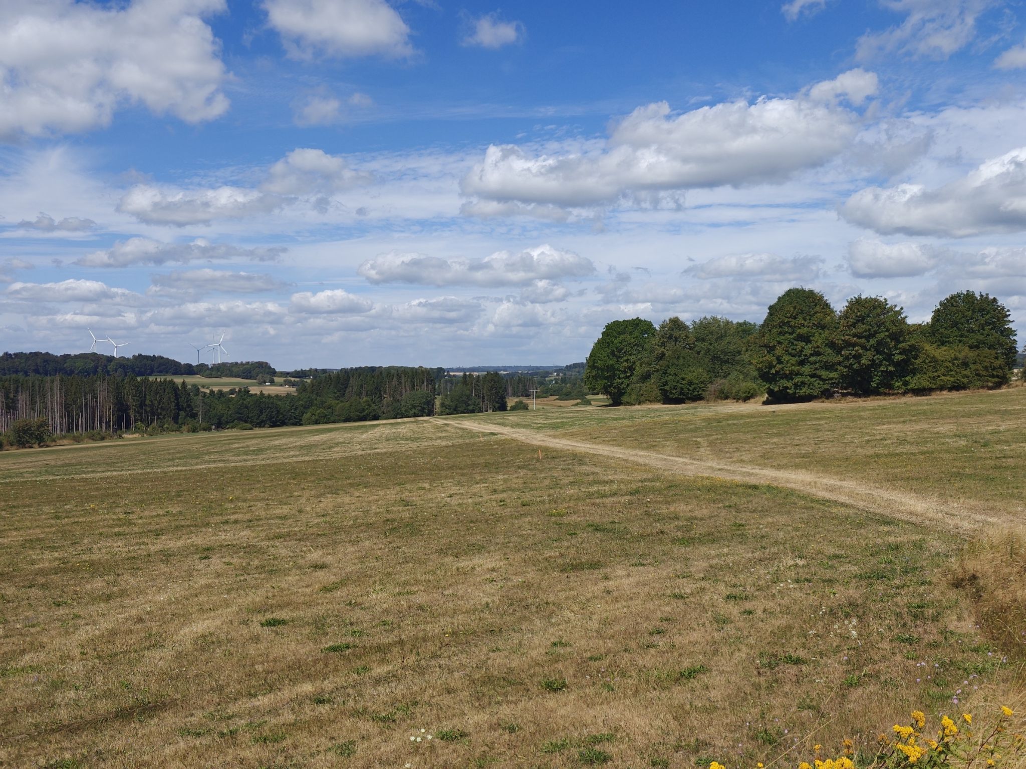 Blick über den Westerwald
