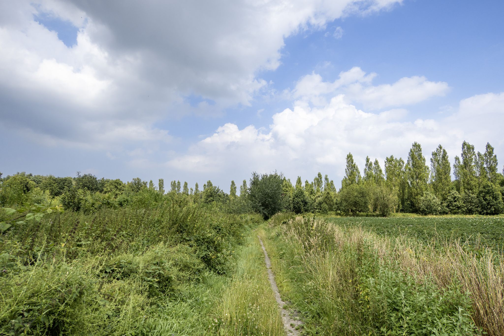 Langs de Liniewegel