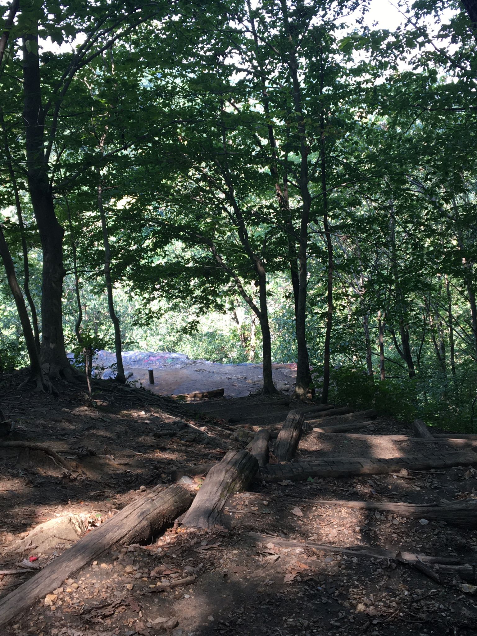 Buzzard Rock