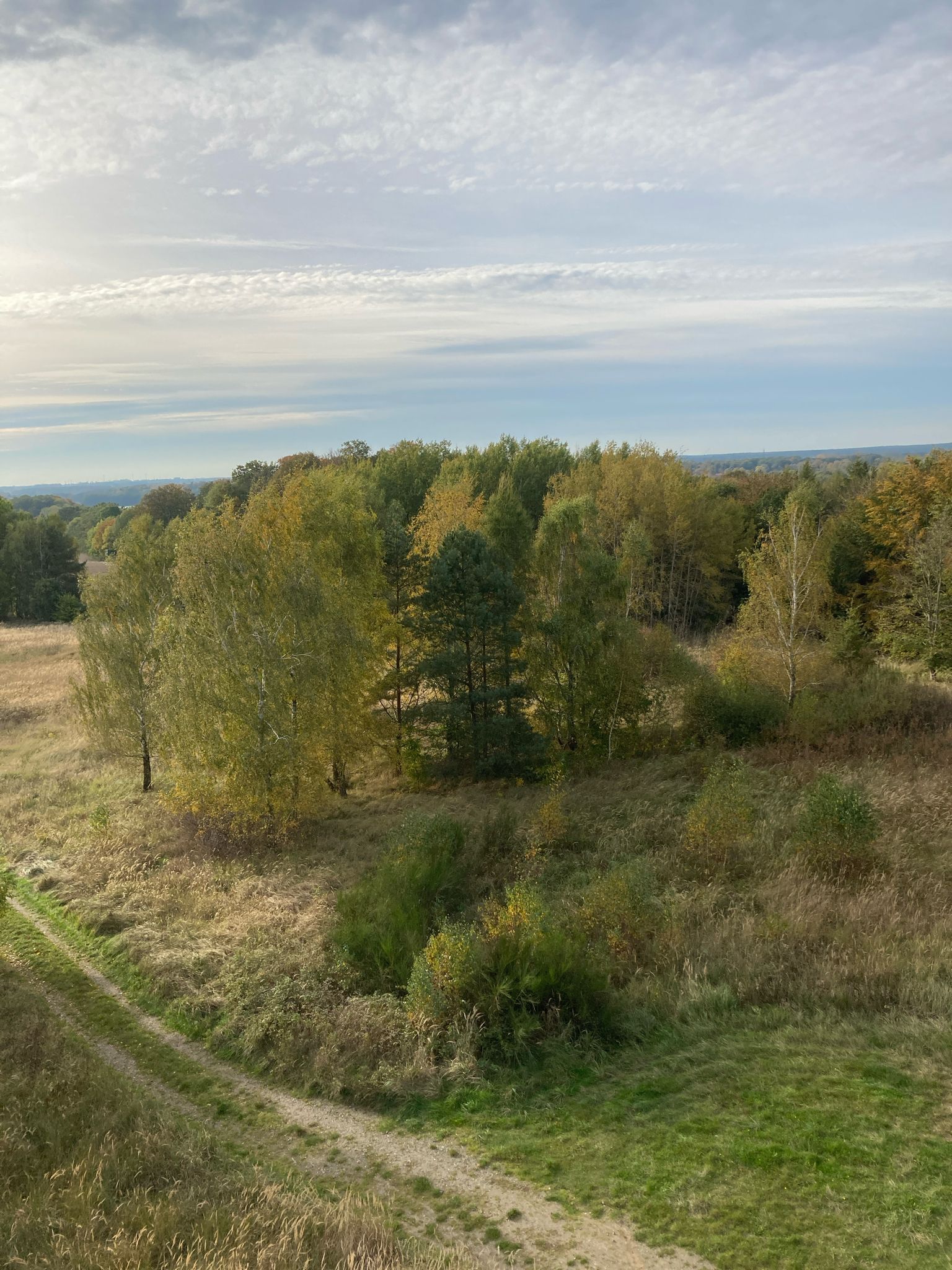 Blick vom Aussichtsturm