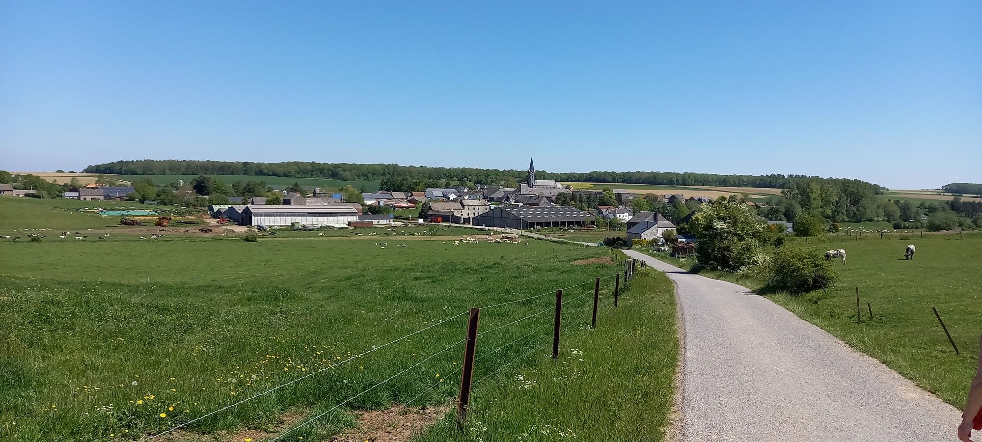 Corenne