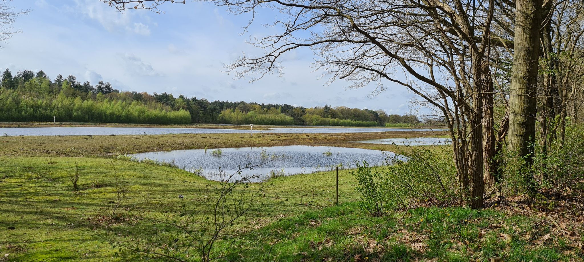 Ganzenmeer