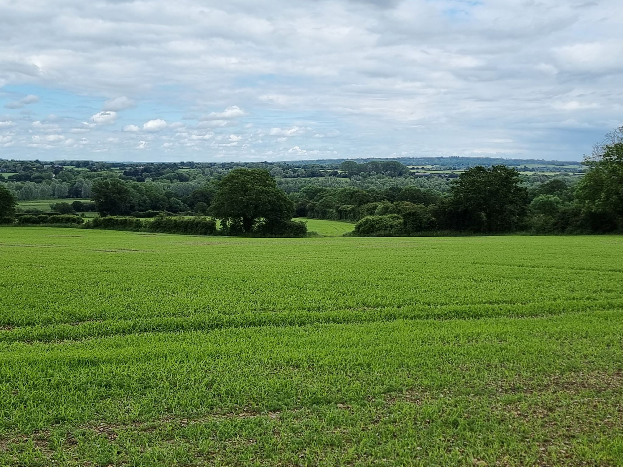 Essex