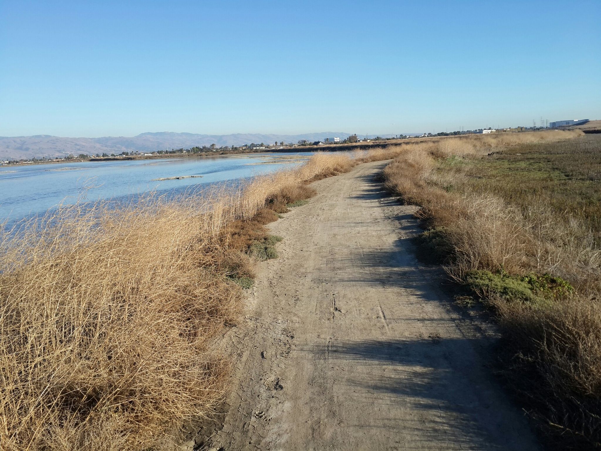 A dirt path next to water and tall dry grass under a clear blue sky. - Guadalupe River Trail