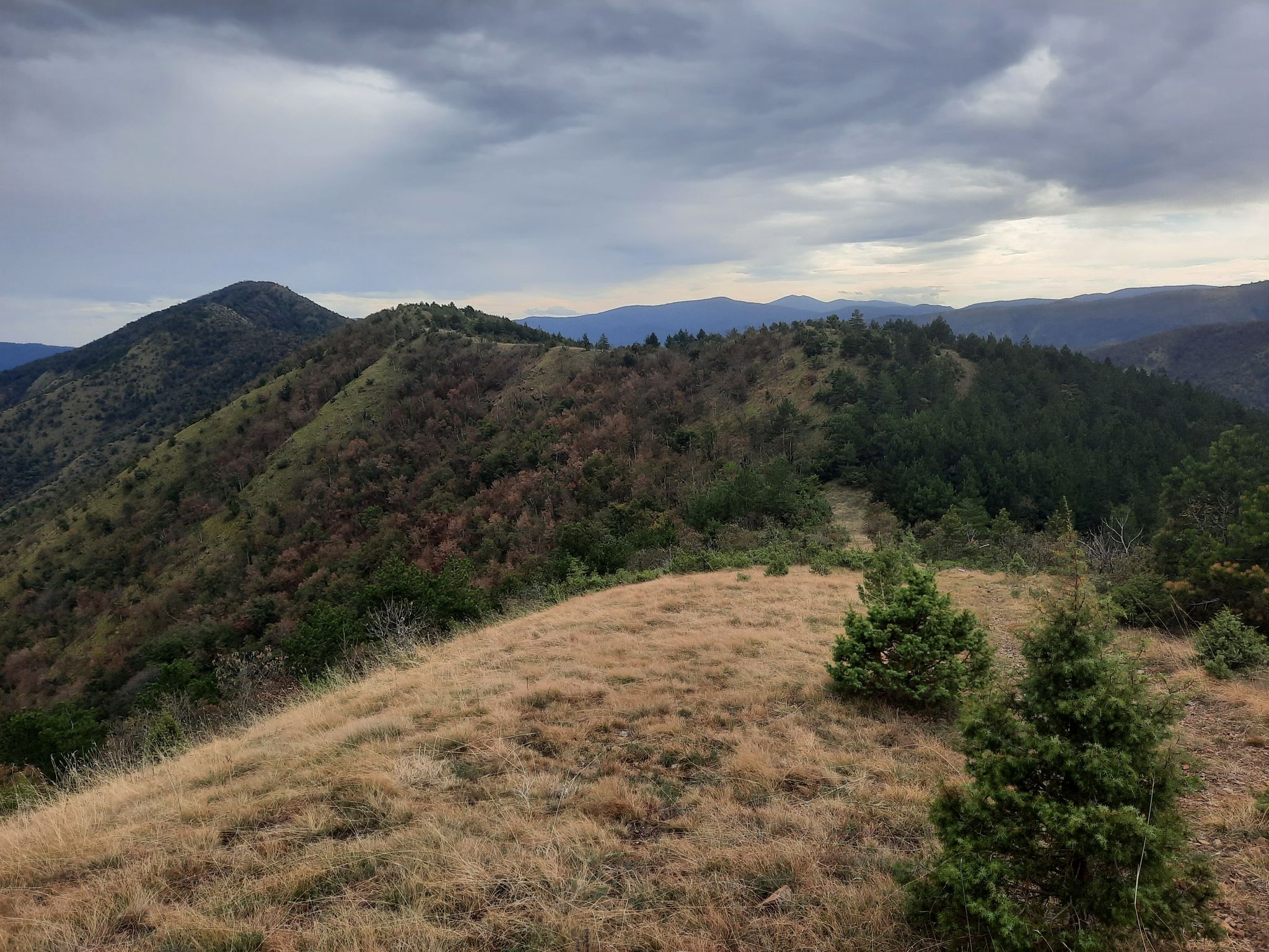 View towards Ozren