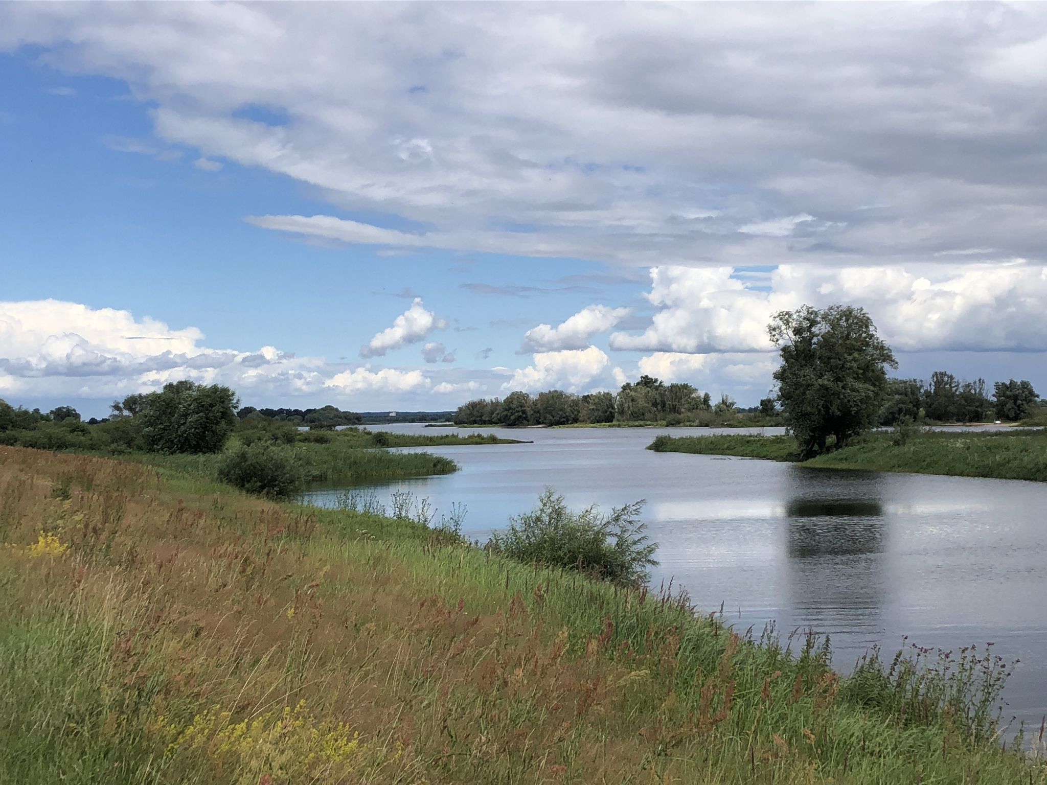 Elbe bei Bleckede 
