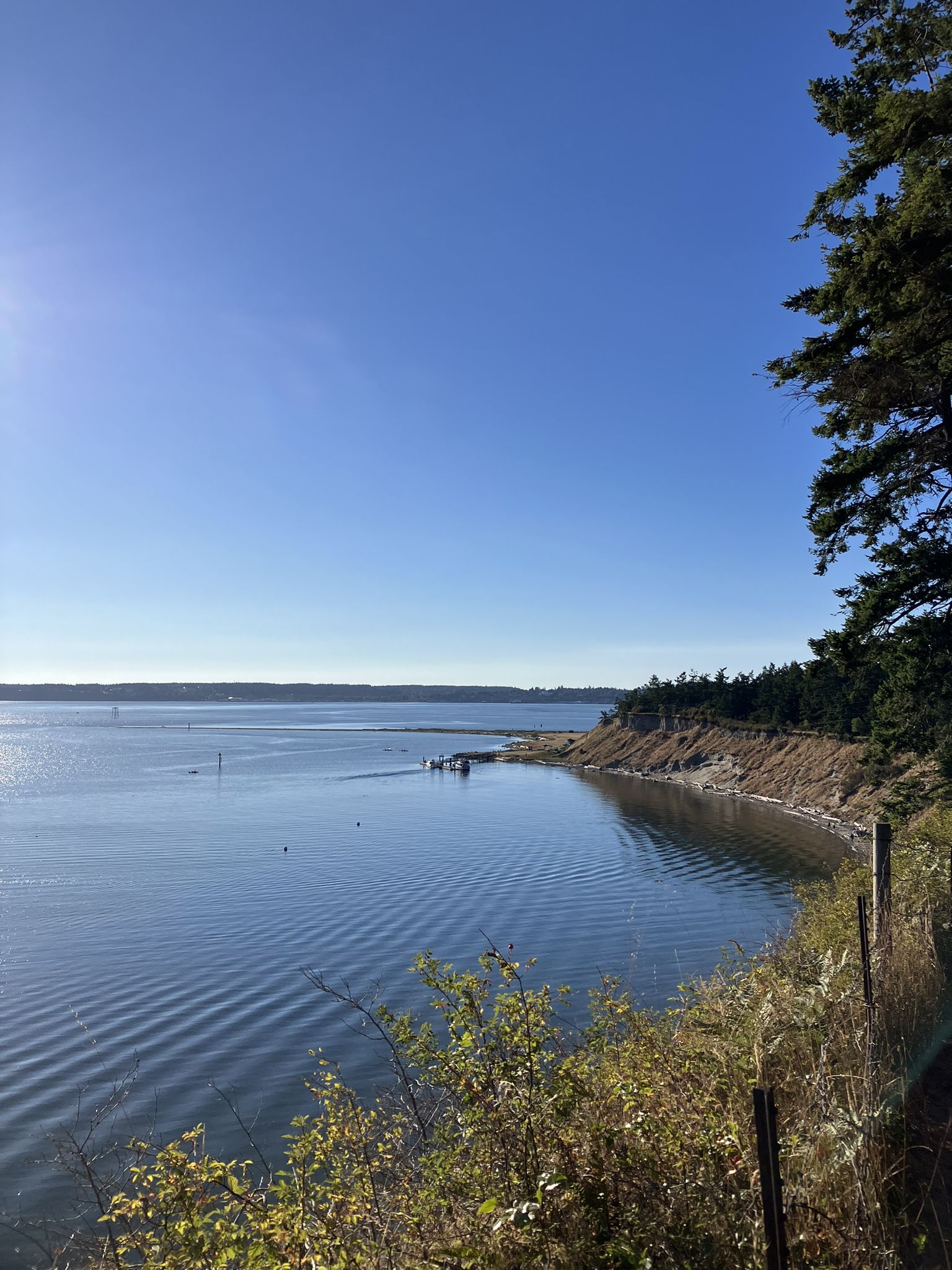 Sunny view of a calm bay with a distant pier and forested shoreline. - Fort Flagler Trail loop Run
