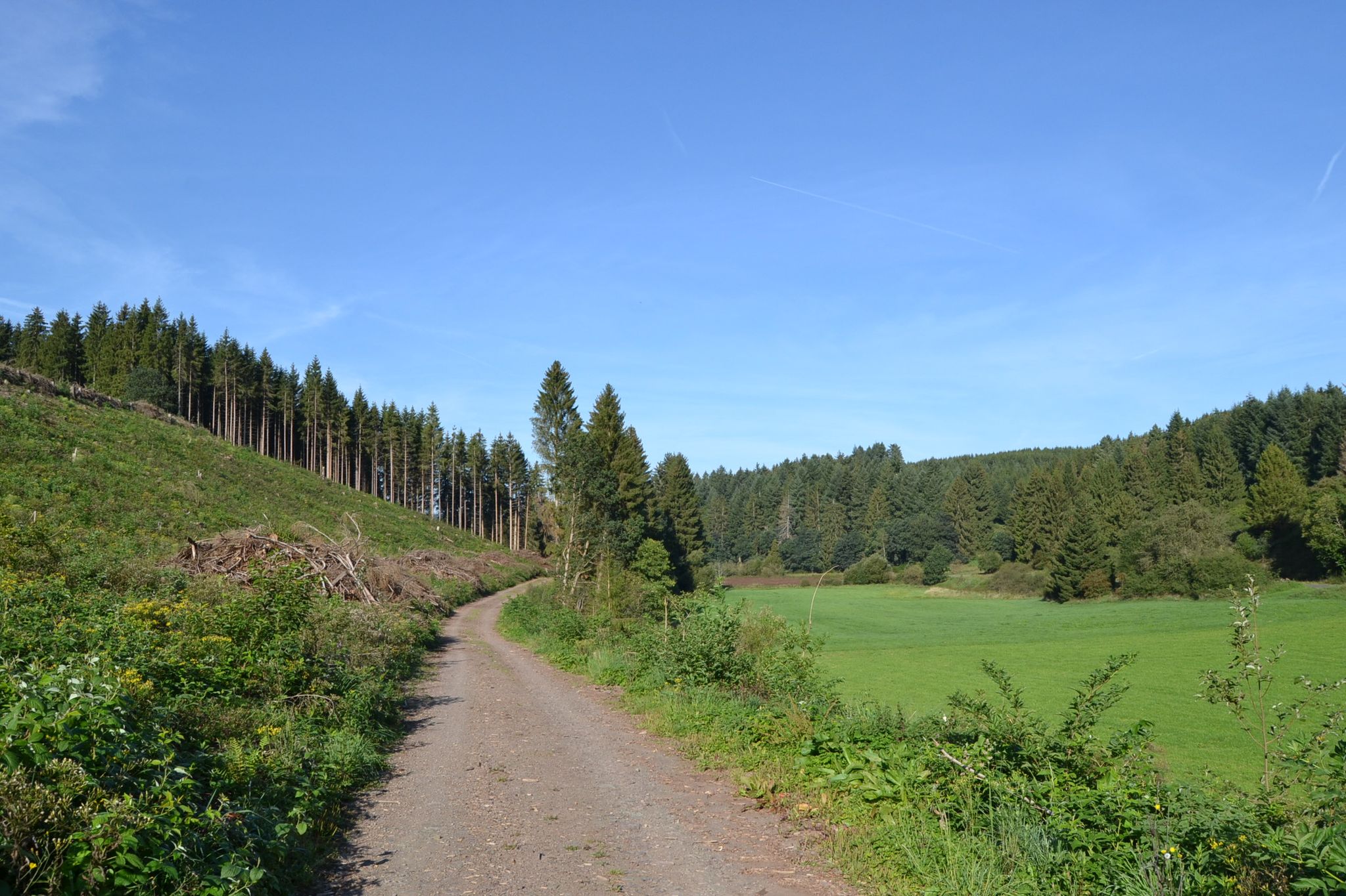 vallei van de Ihrenbach