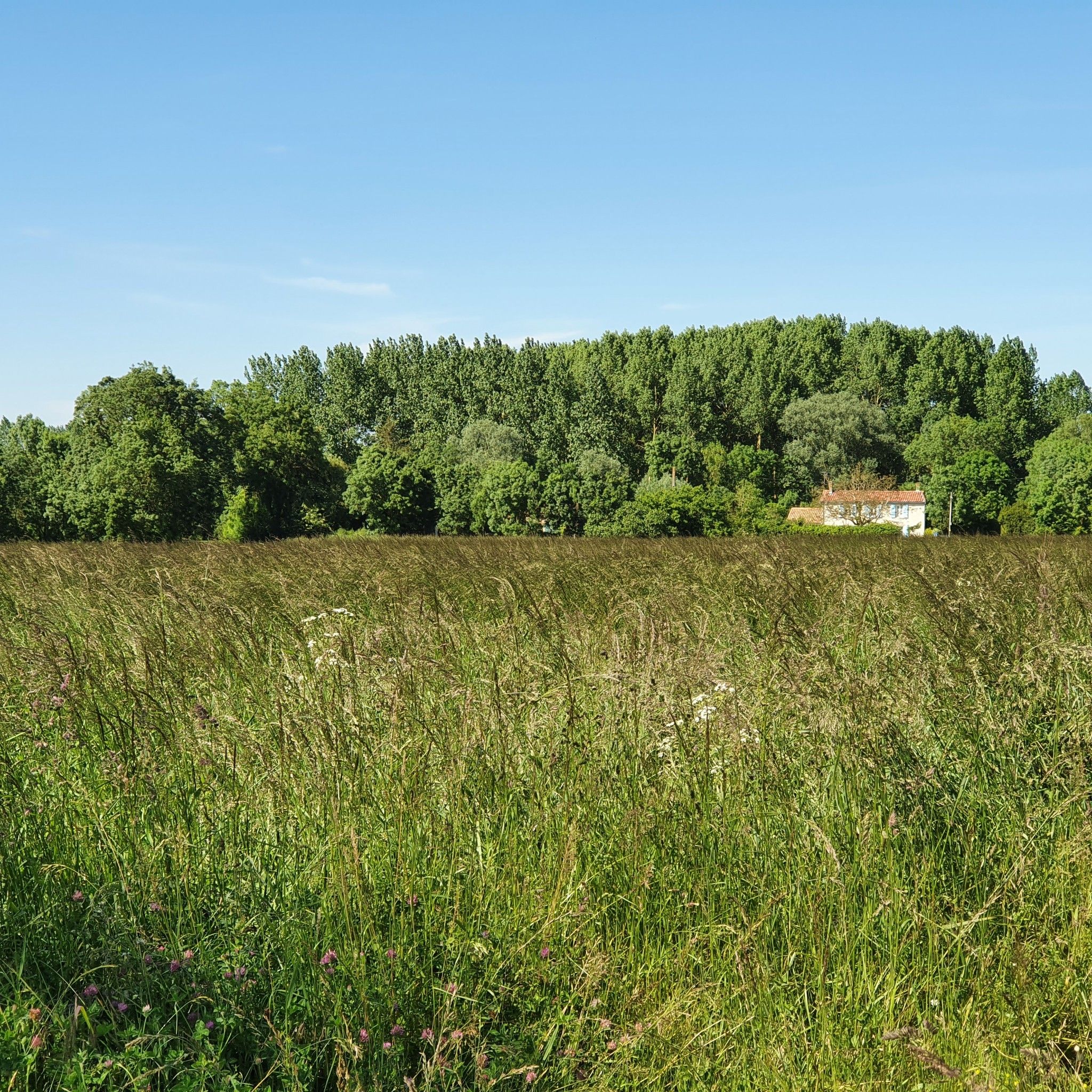 maison isolée