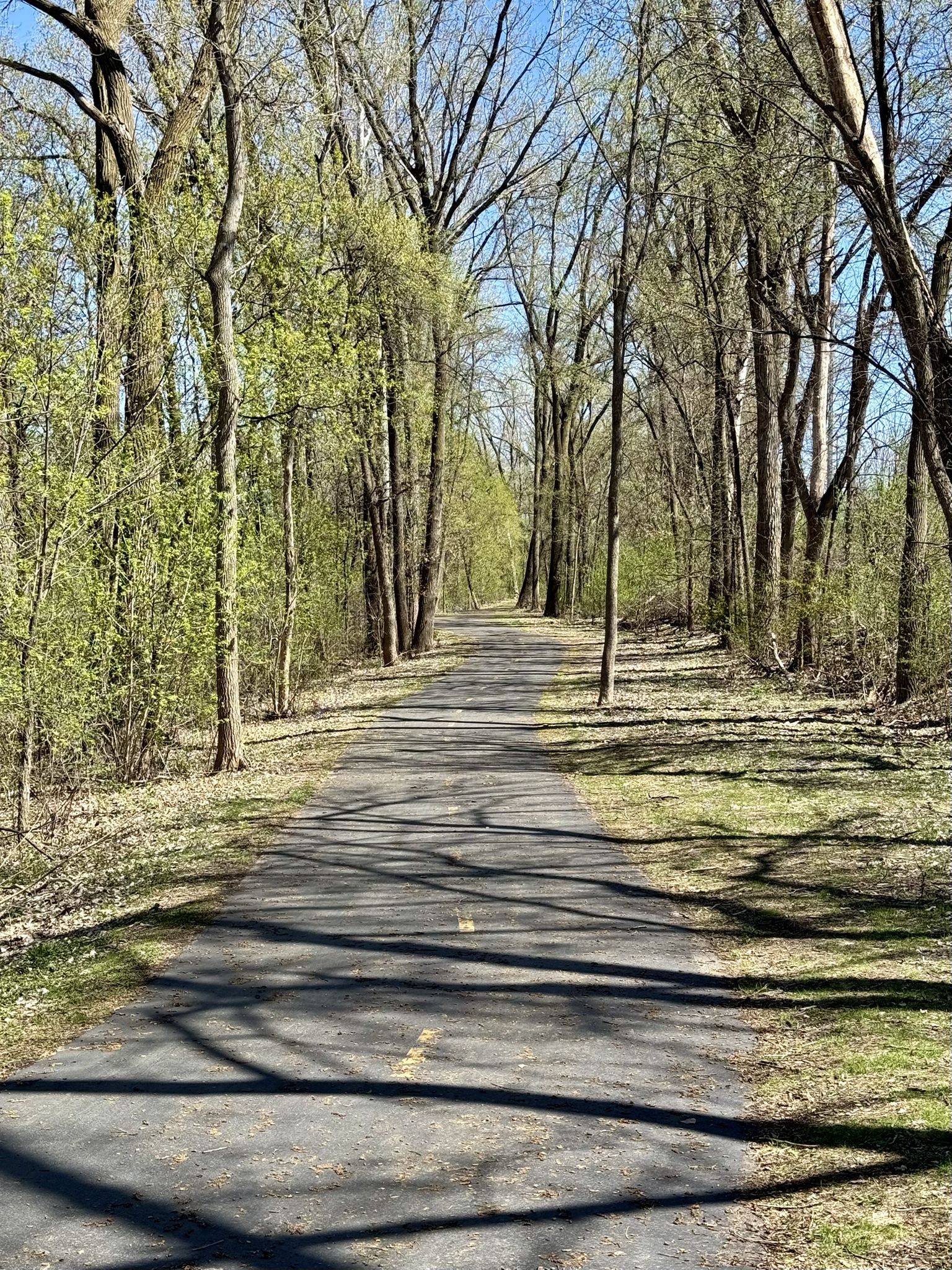 Trail View of the Luce Line