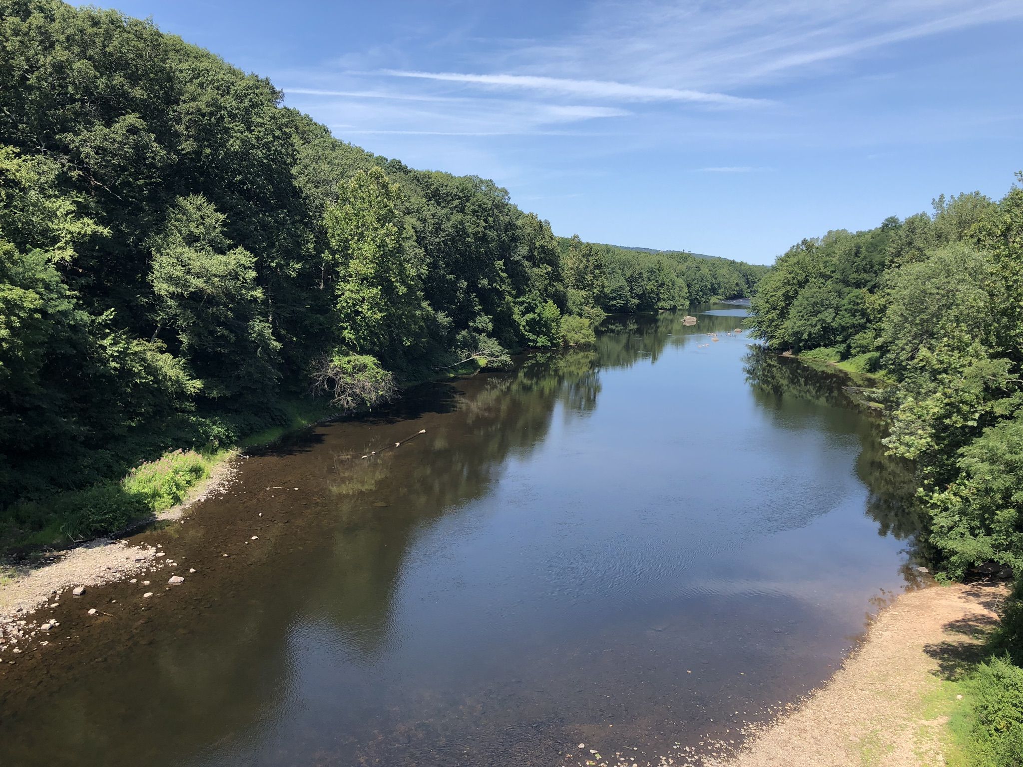 Scenic river winding through a vibrant green forest under a clear blue sky. - Farmington Canal Heritage Trail