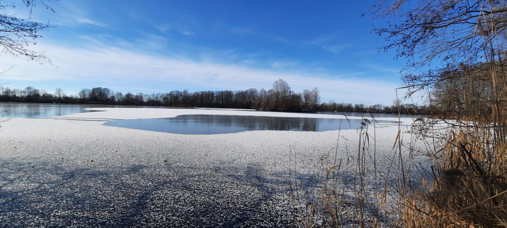 Baarer Weiher