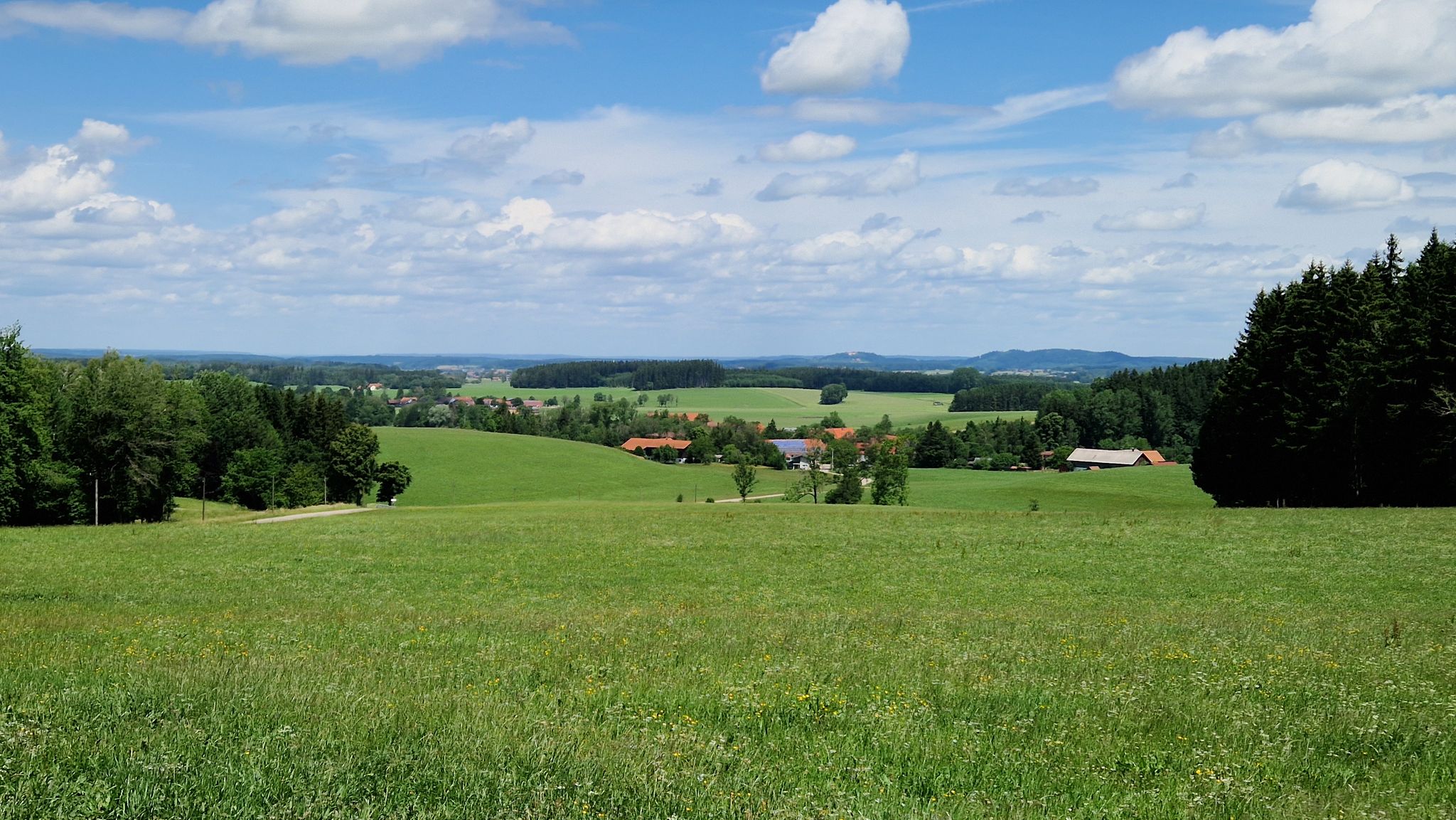 Blick Richtung Kronburg