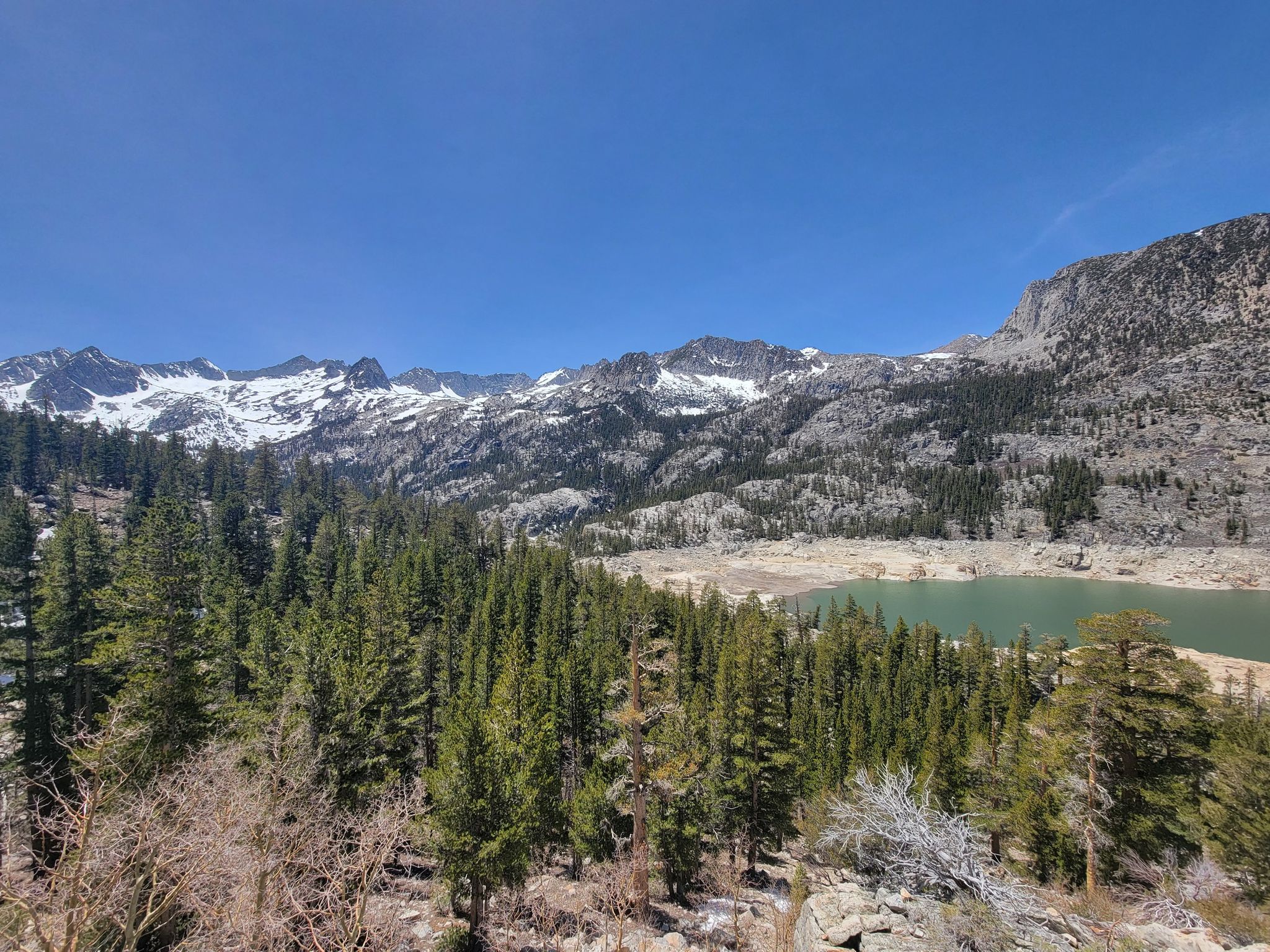 Dense pine forest overlooking a lake, with distant snow-capped mountains under a clear sky. - Bull Lake via Bishop Pass Trail