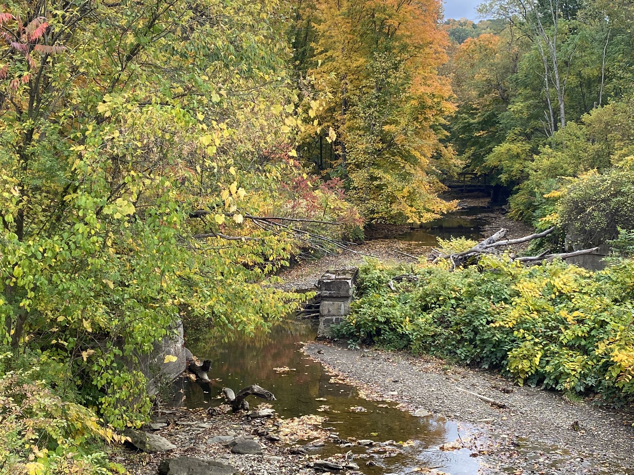 A shallow, rocky stream winds through a forest with colorful autumn trees. - Enlow Tunnel – McDonald Trestle Bridge loop from Trout Run Conservation Area