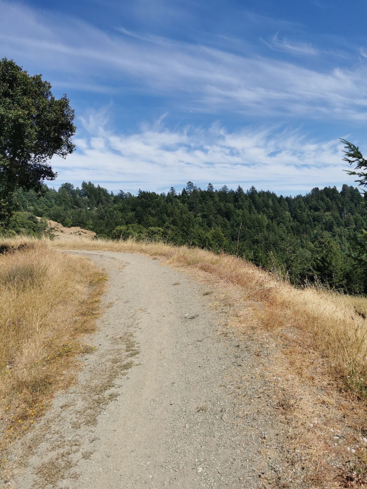 A dirt path through dry grass leads to a distant forest under a blue sky. - Willow Creek, Upper and Lower Old Barn Loop
