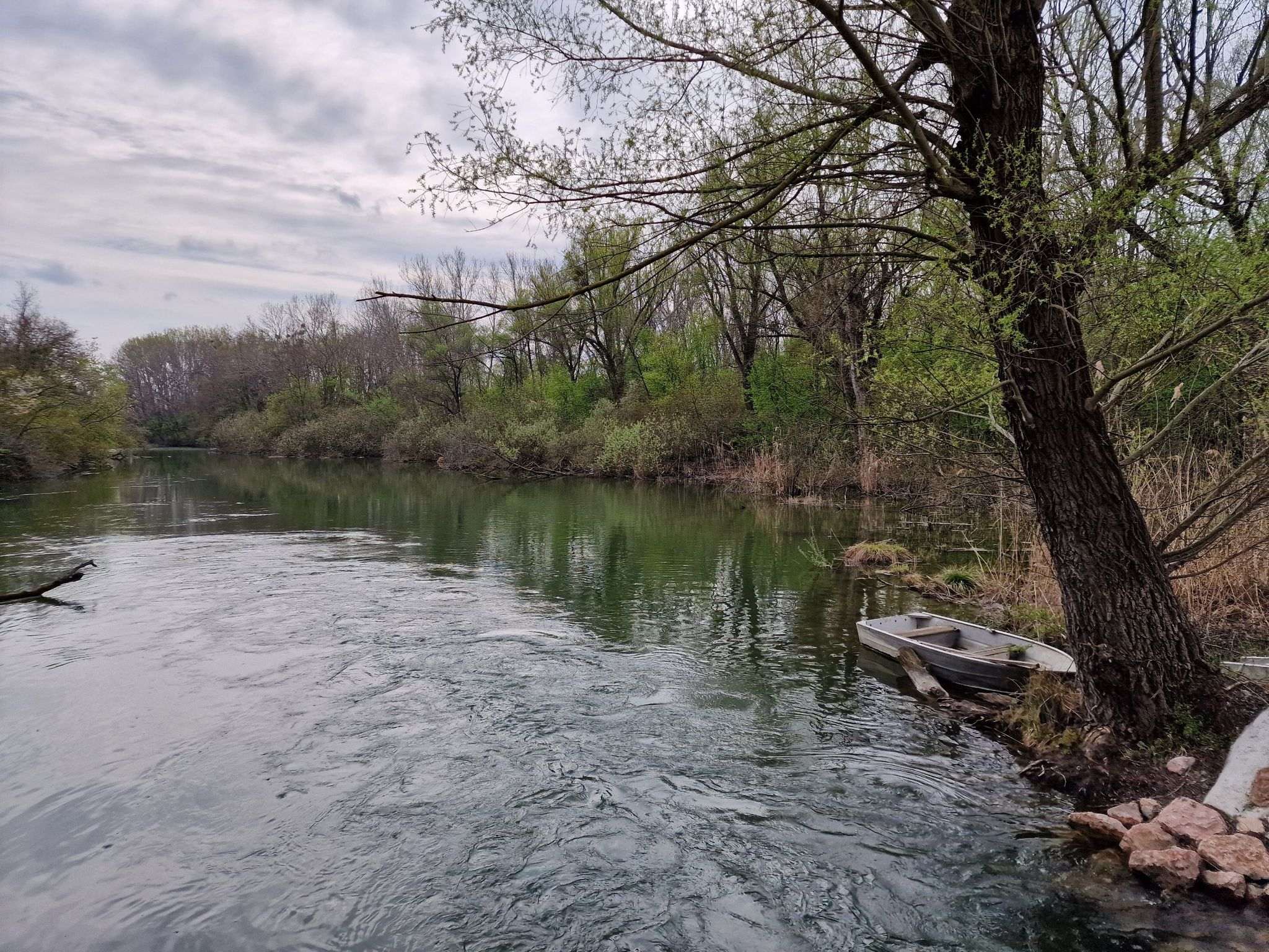Zátonyi-Duna (Zátonyi-Donau)