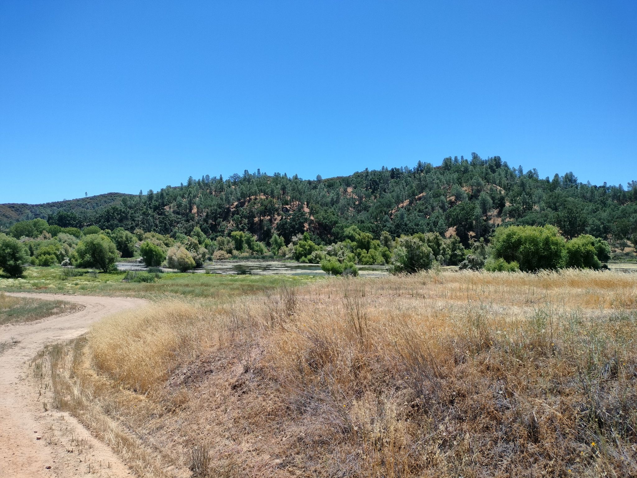 A dirt road curves through dry grass towards distant green hills under bright sun. - Blinn Trail