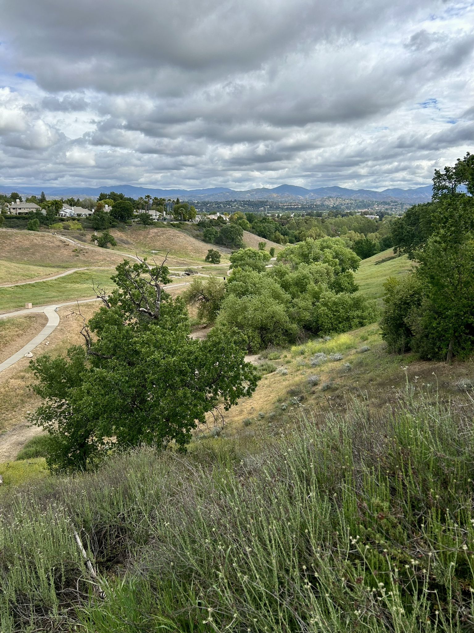 Overcast view of rolling hills with trees and distant houses. - Valencia Summit Park Loop