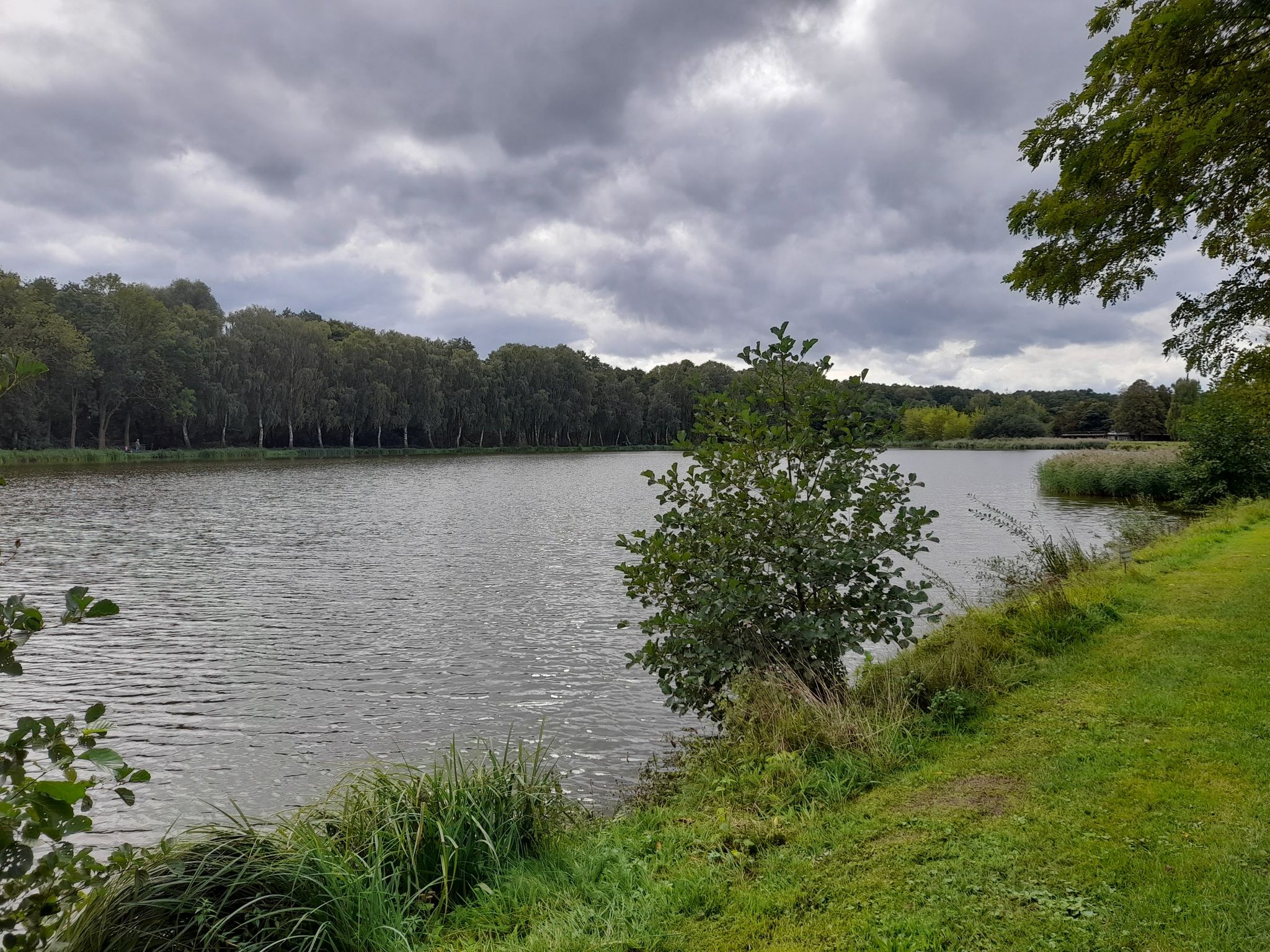 Ahlumer See