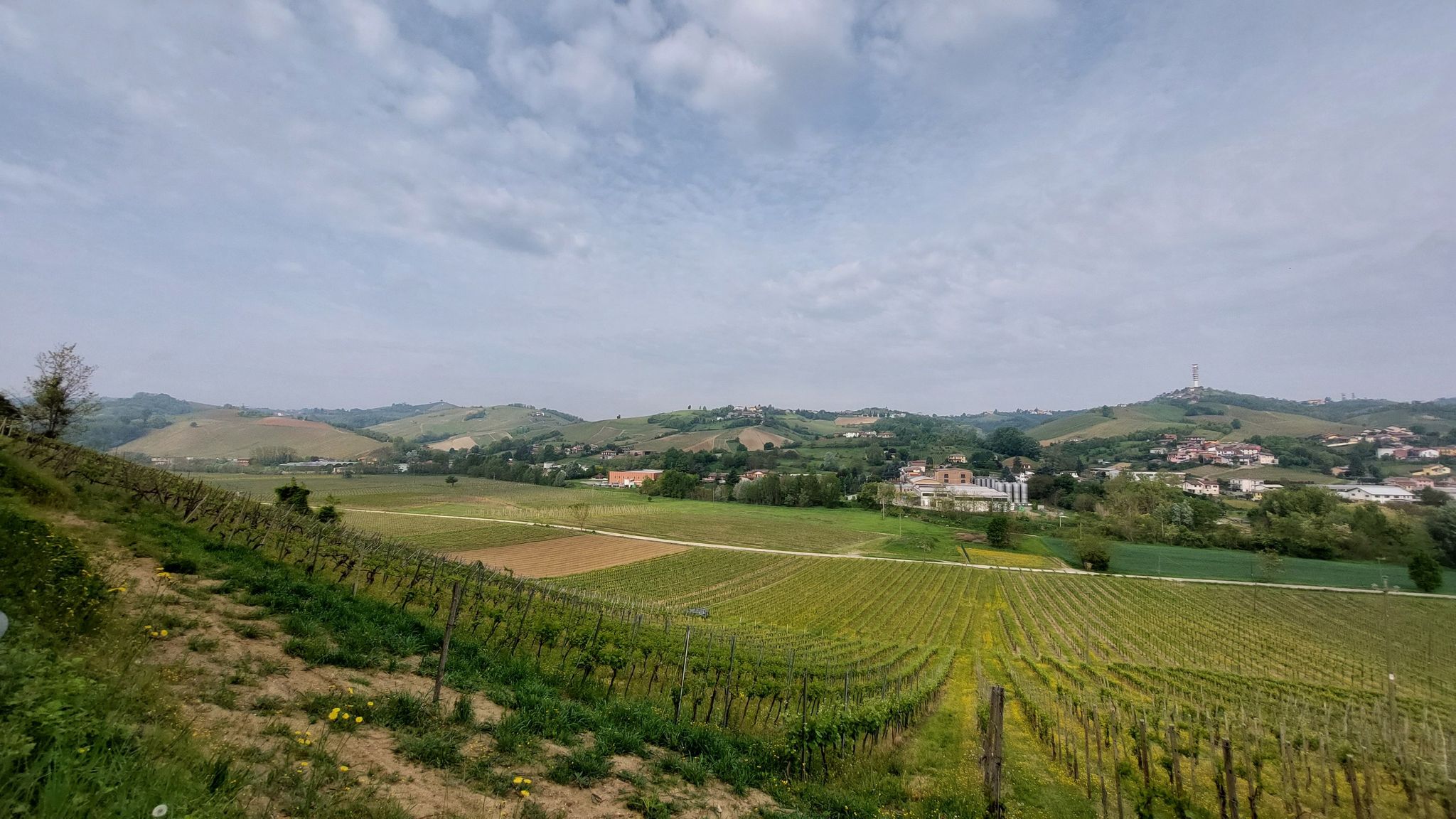 Paesaggi attraversati: oltrepò pavese