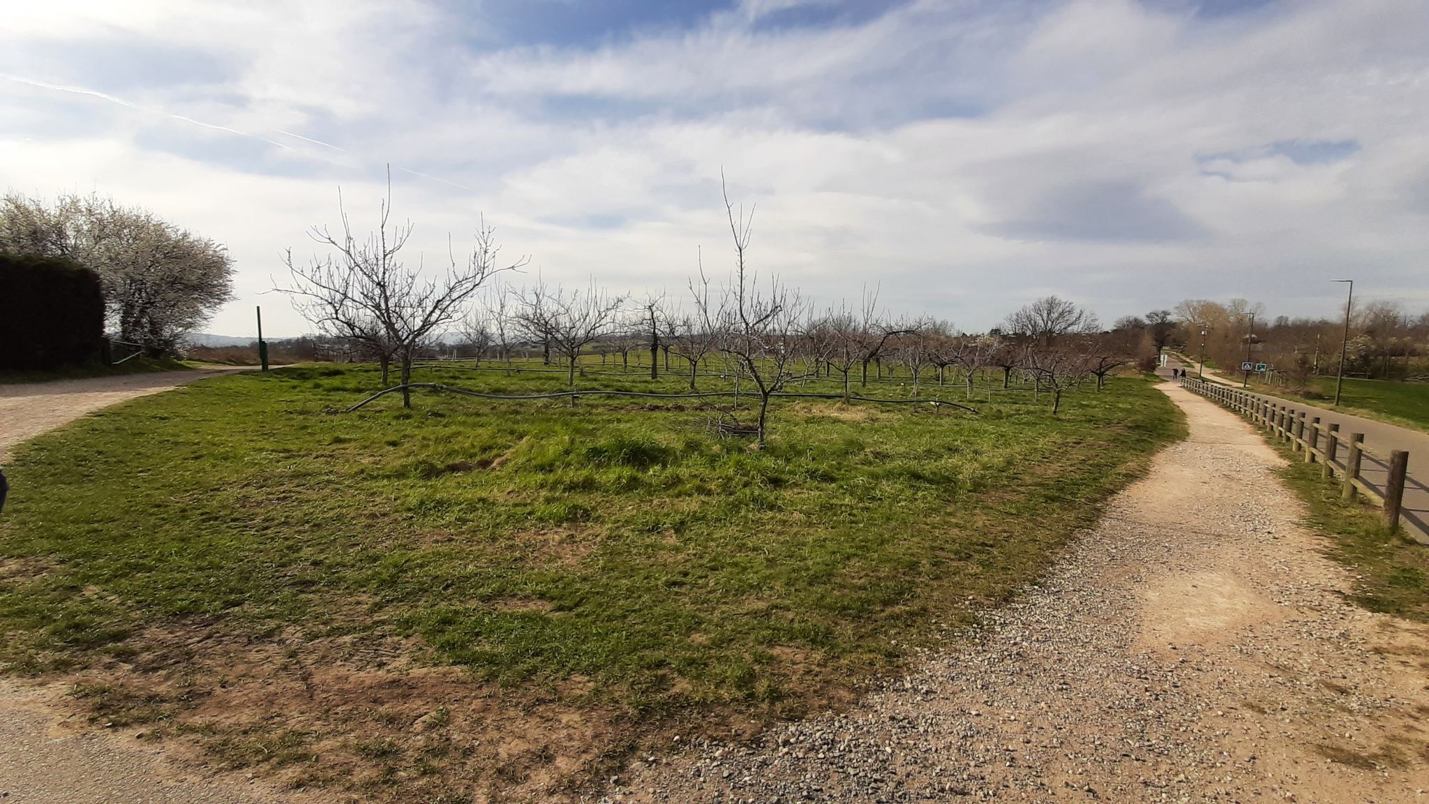 Plateau d'Irigny
