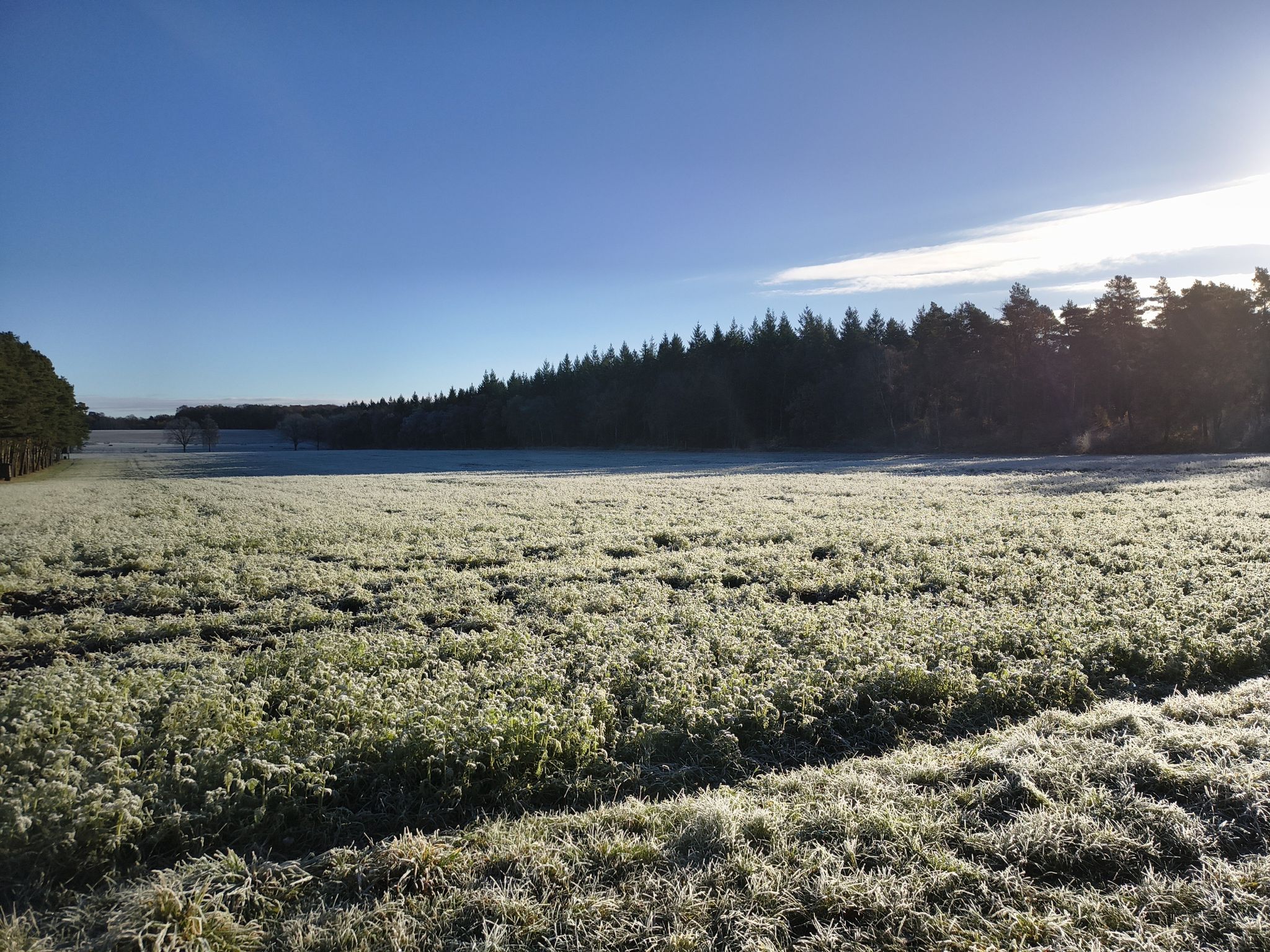 im Herbst besonders schön