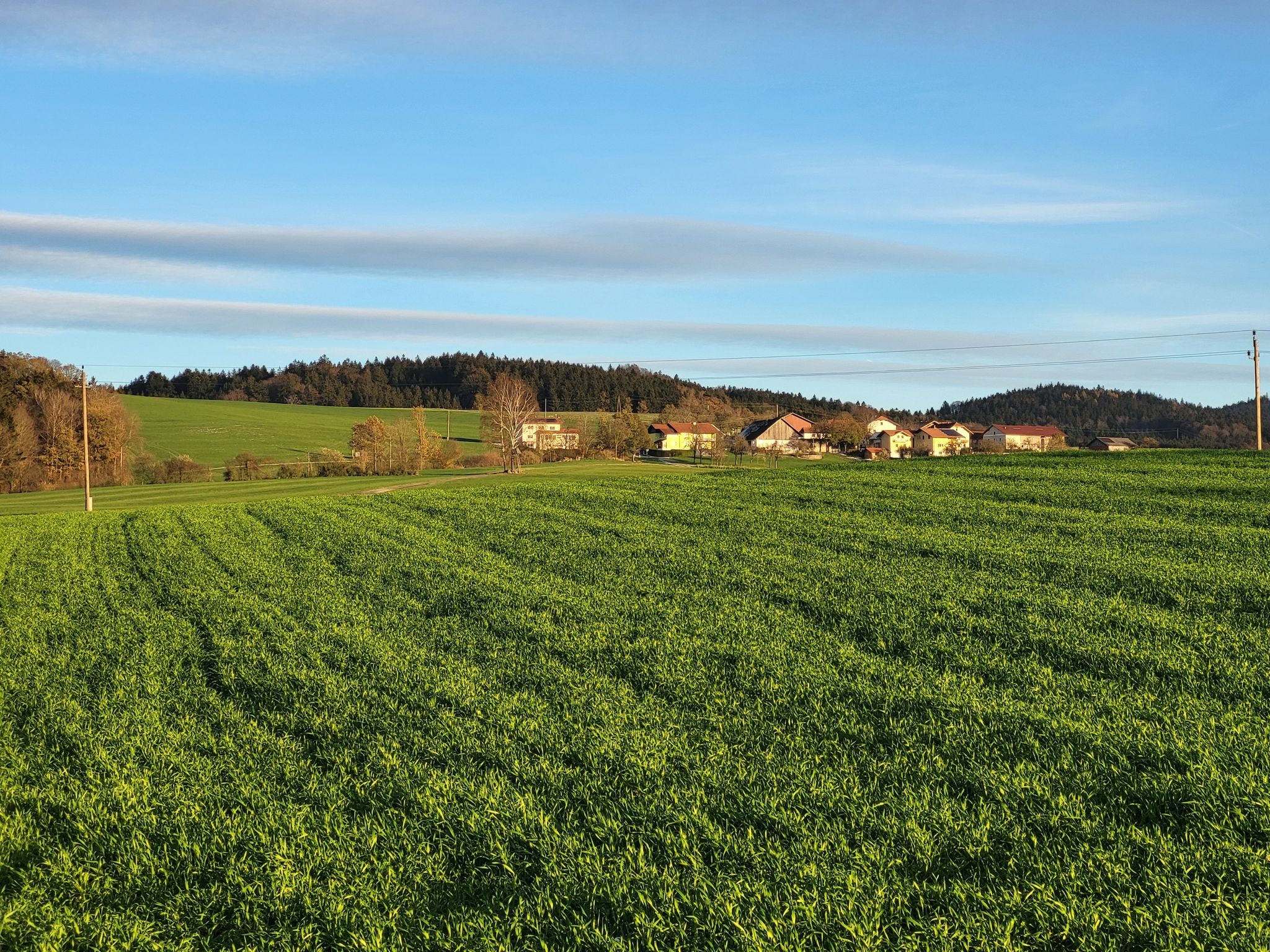 Blick n. Urschenbach