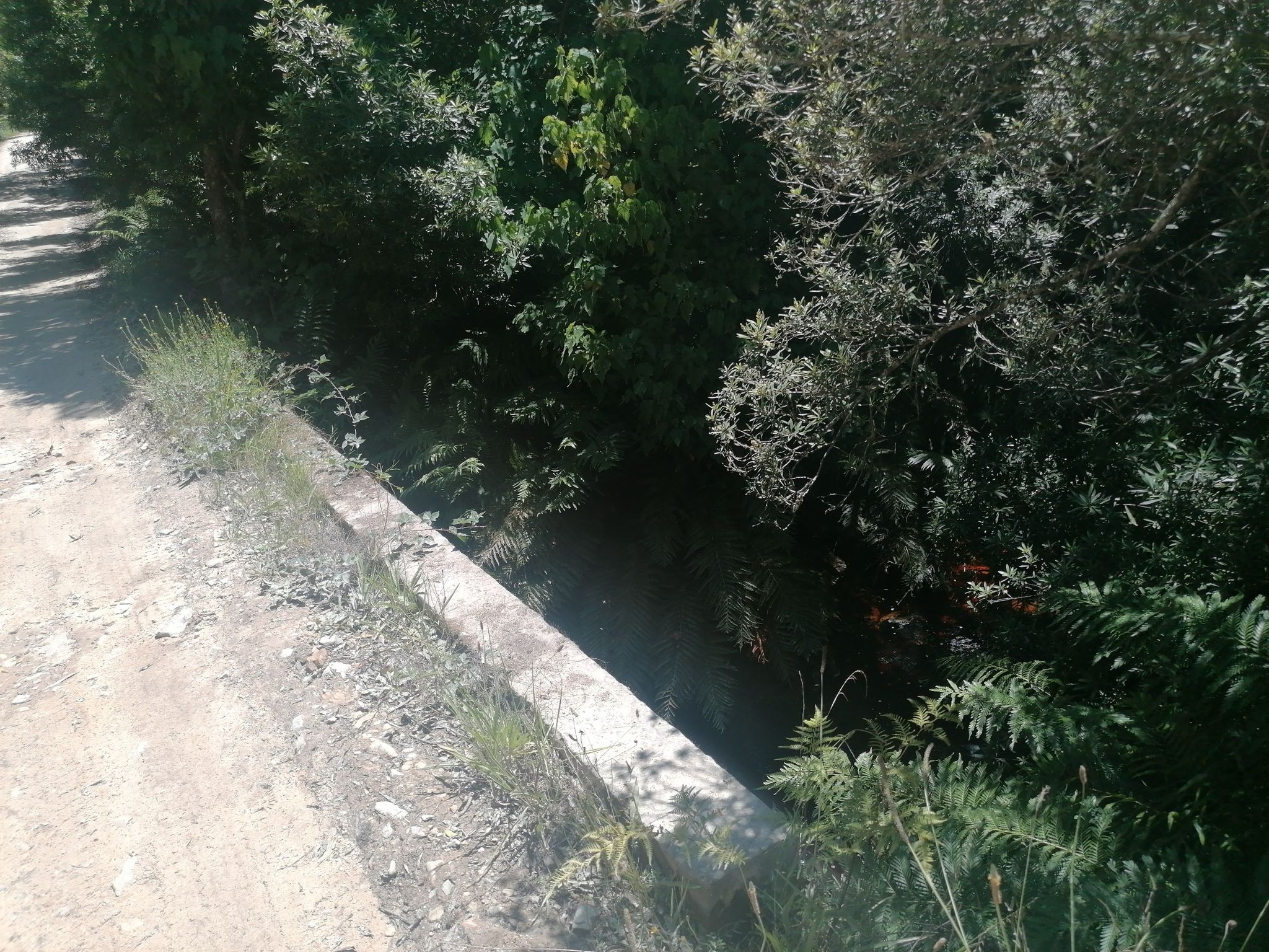 small river under a bridge