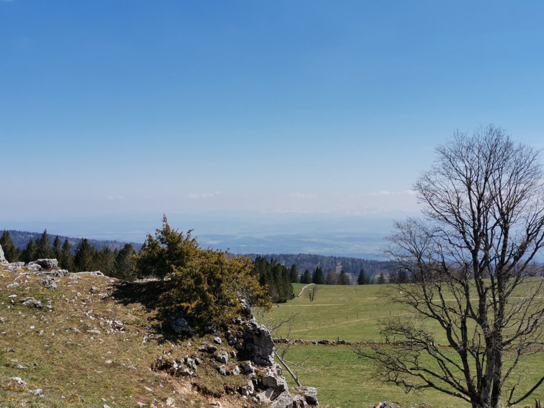 Mont Montoz