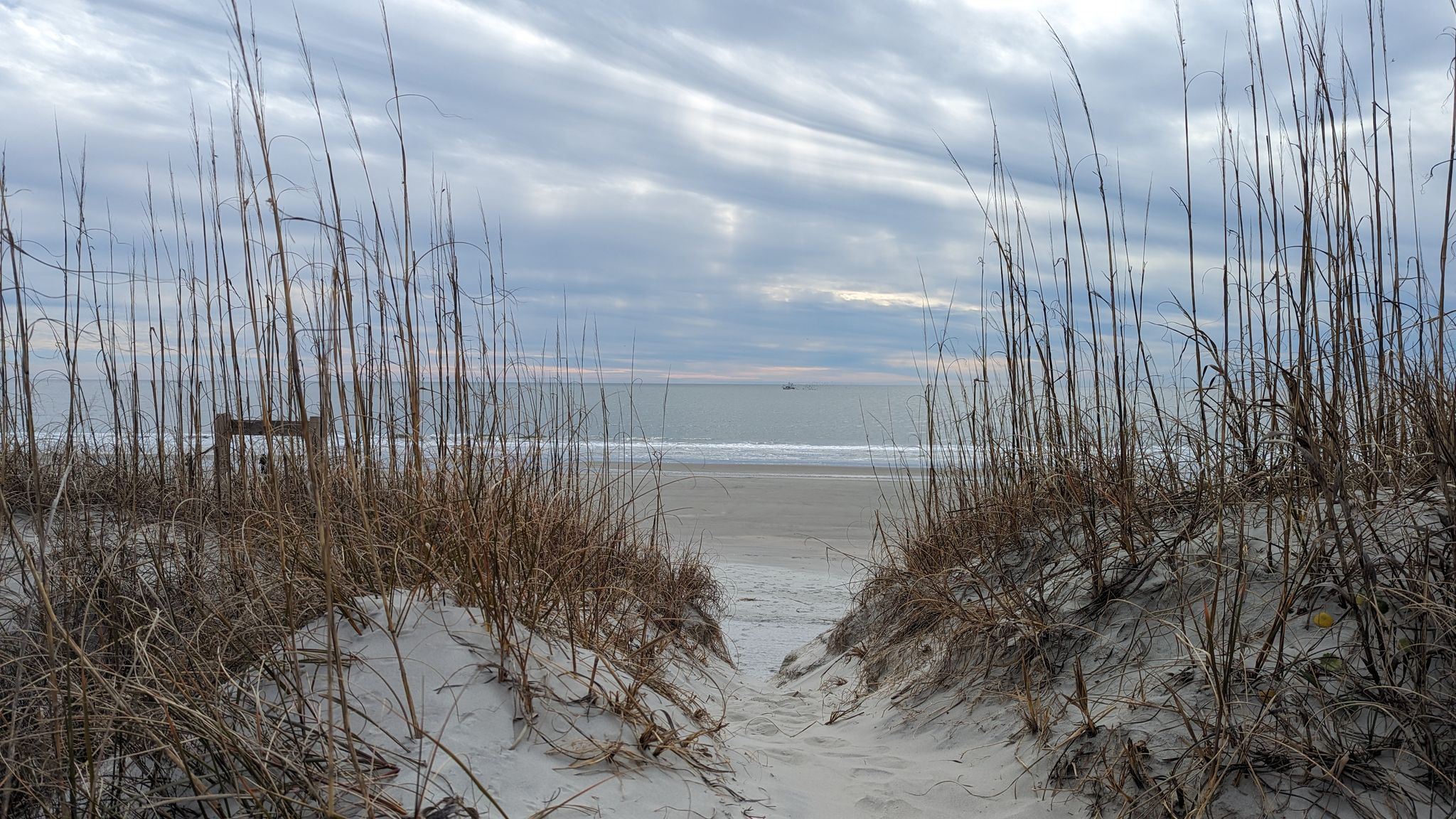 Sandy path through tall dry grass leading to a calm ocean. - Hiking loop from Sunset Beach
